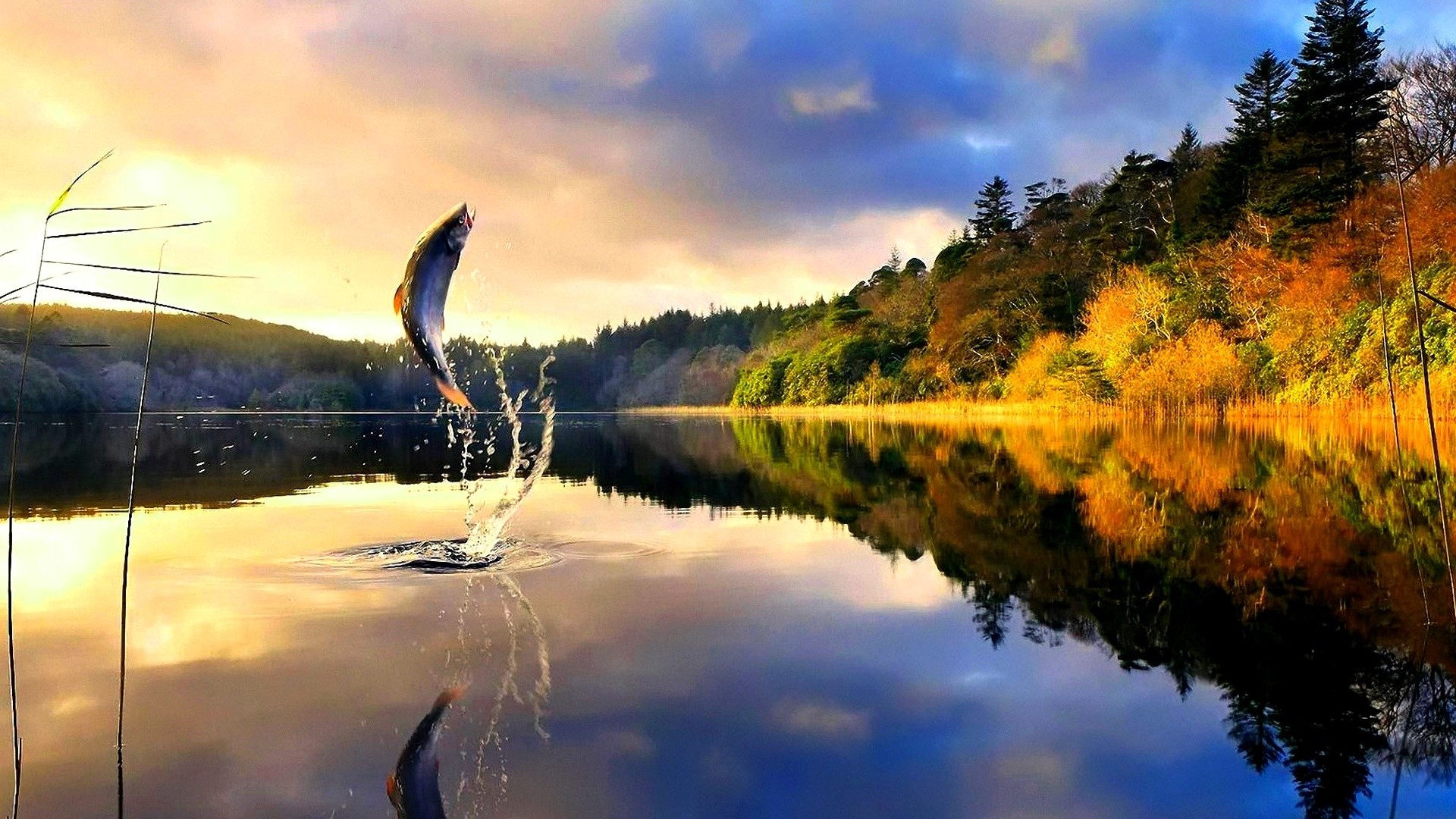 Fishing Wallpaper (57+ pictures)