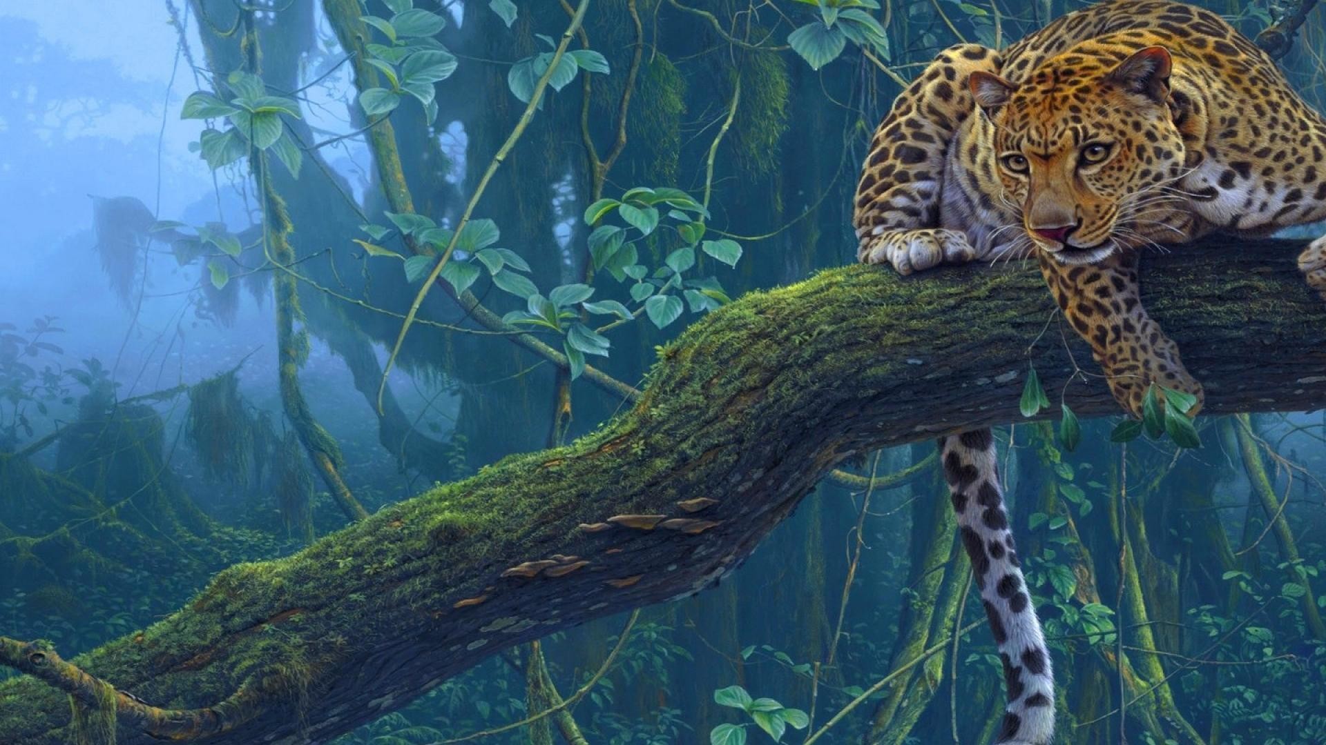 1920x1080 Amazon Rainforest Jaguar Jaguar Animal Wallpaper Hd Johnywheels