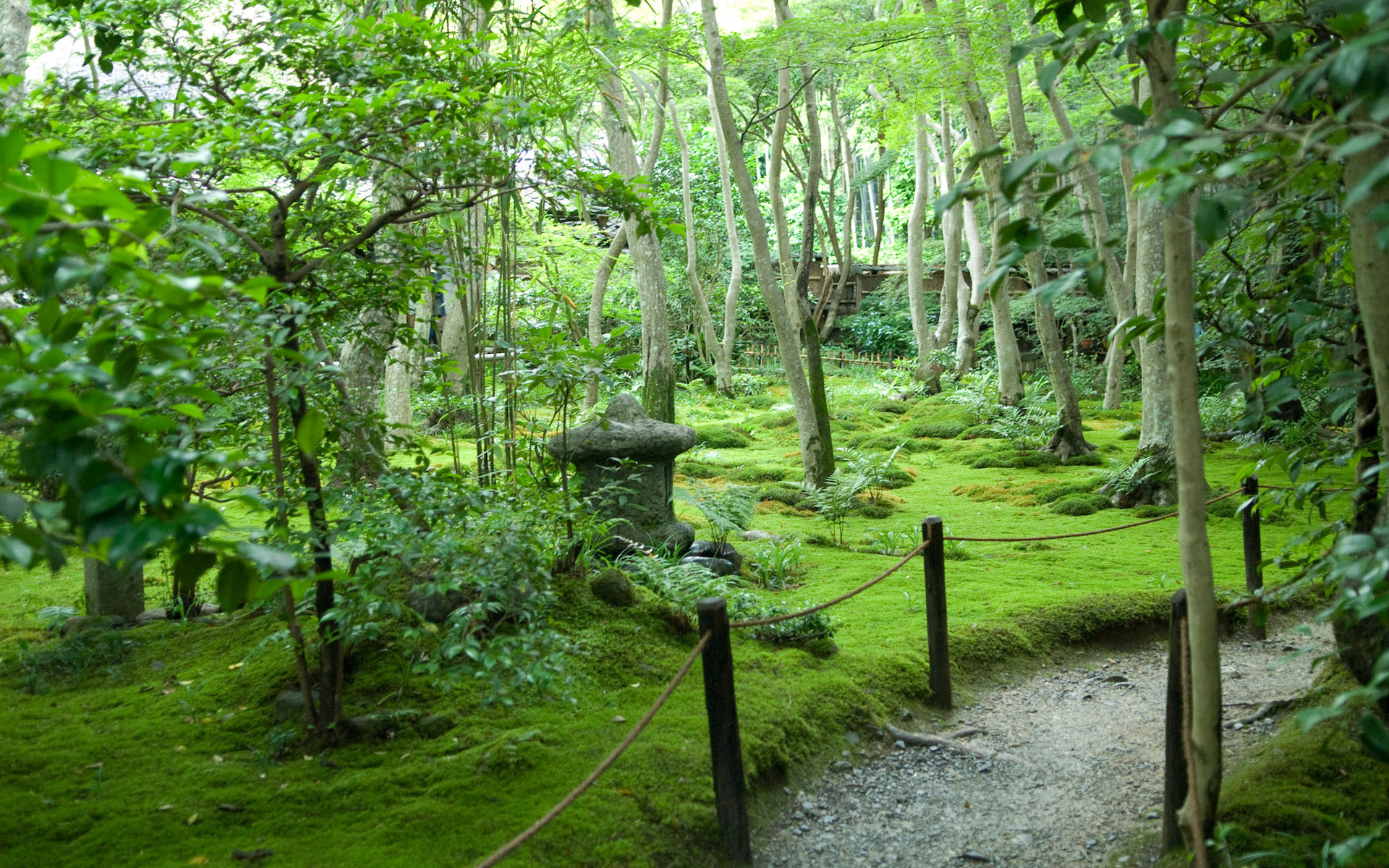 1920x1200 Japan Beautiful Nature Desktop Background. Download  ...
