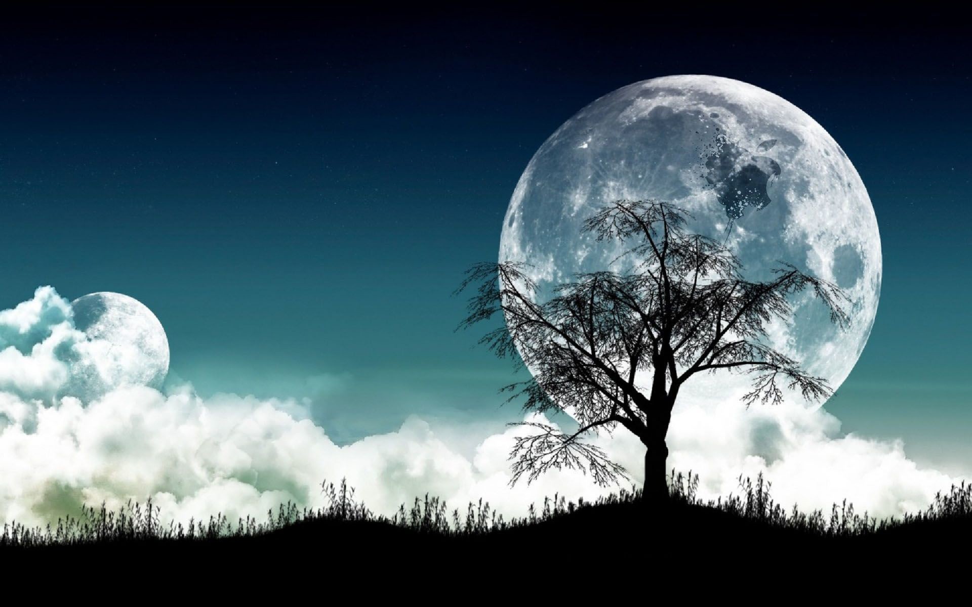 1920x1200 Real Fairytale Landscapes Night | WALLPAPERS 3D FULL HD -