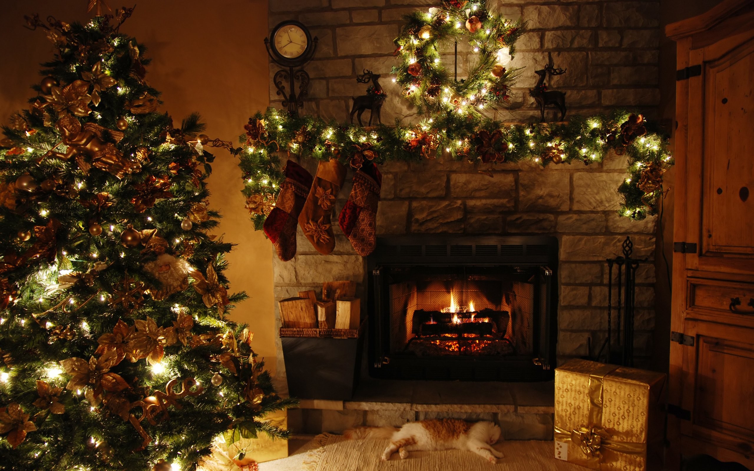2560x1600 Christmas Tree Fireplace 754264 ...