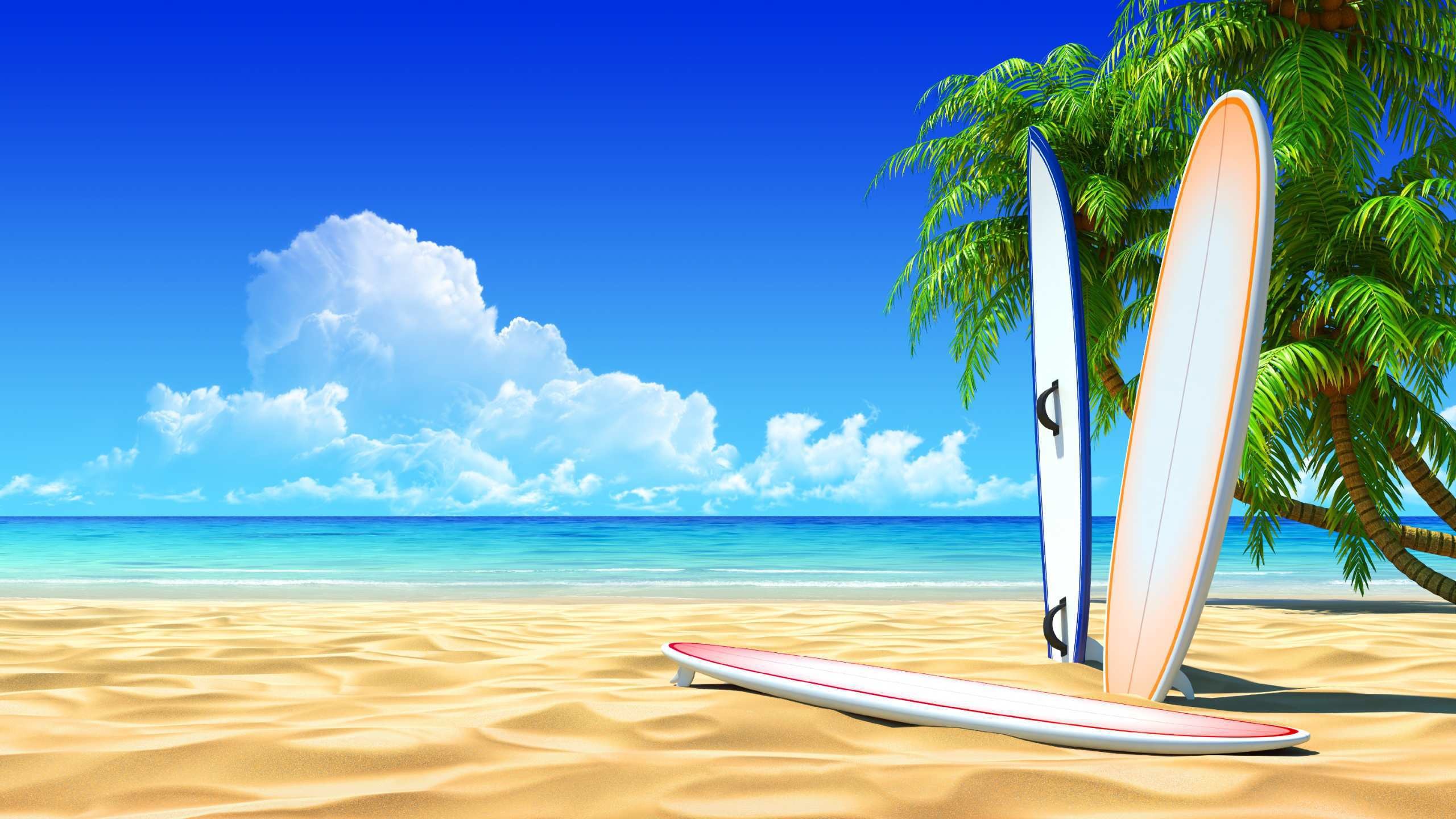 2560x1440 surfing board wallpapers and screensavers | walljpeg.com