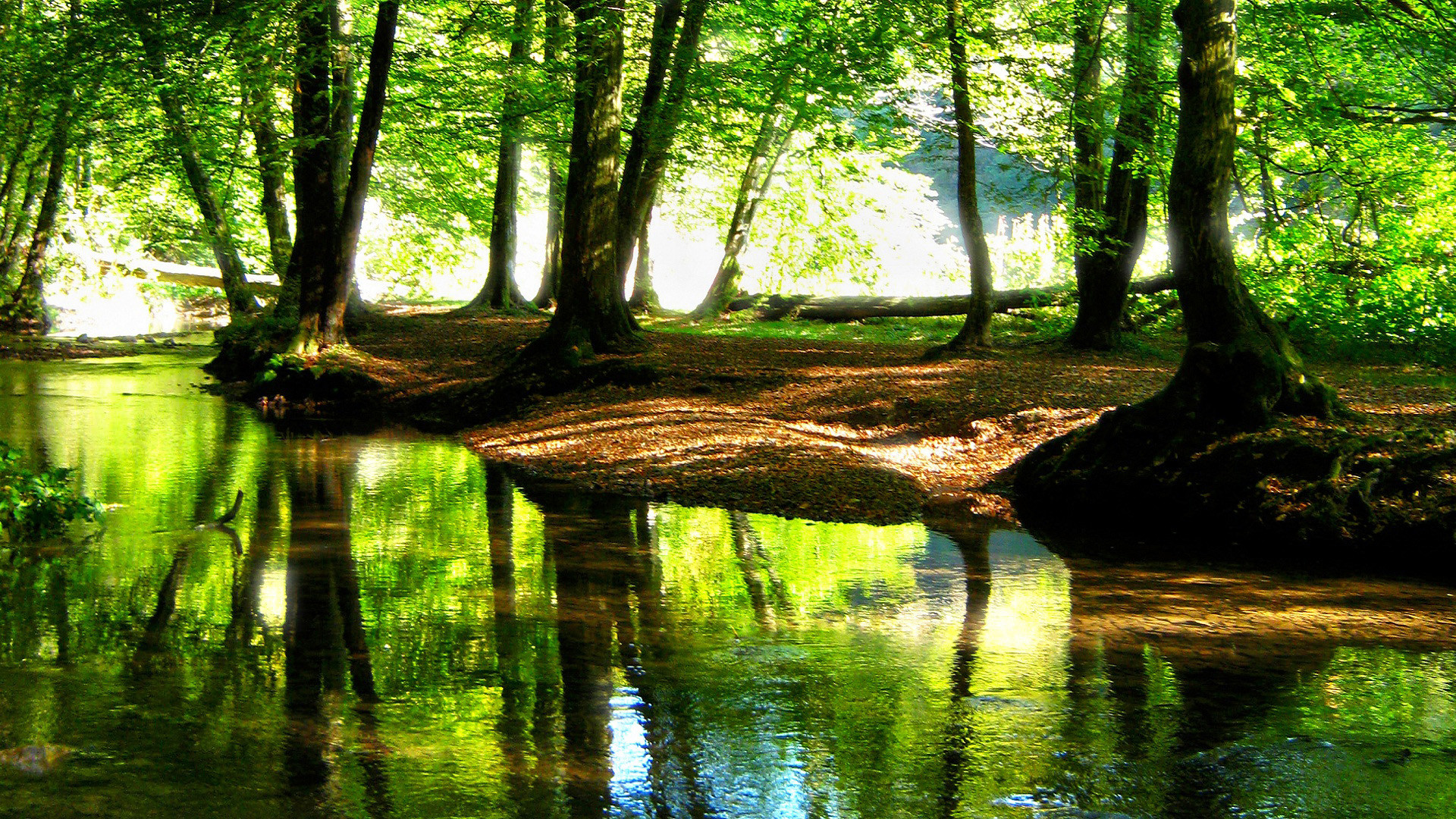 1920x1080 HD Landscape Wallpapers beautiful stream in a cool Forst River Nature  Wallpapers ,beads,forest stream.