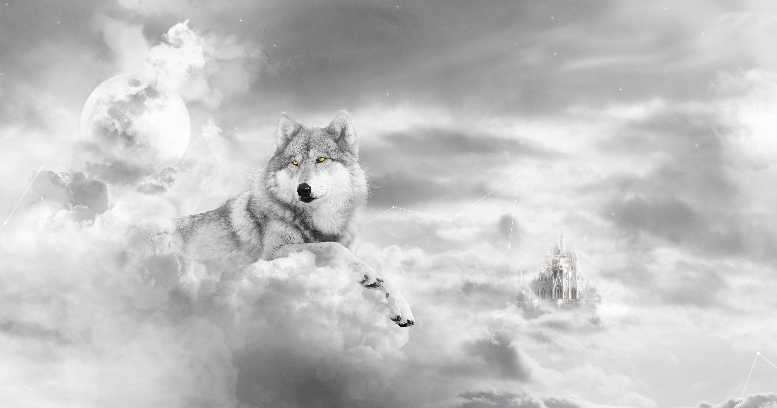 2560x1343 cool wolf in the clouds wallpaper Check more at http://www.finewallpapers