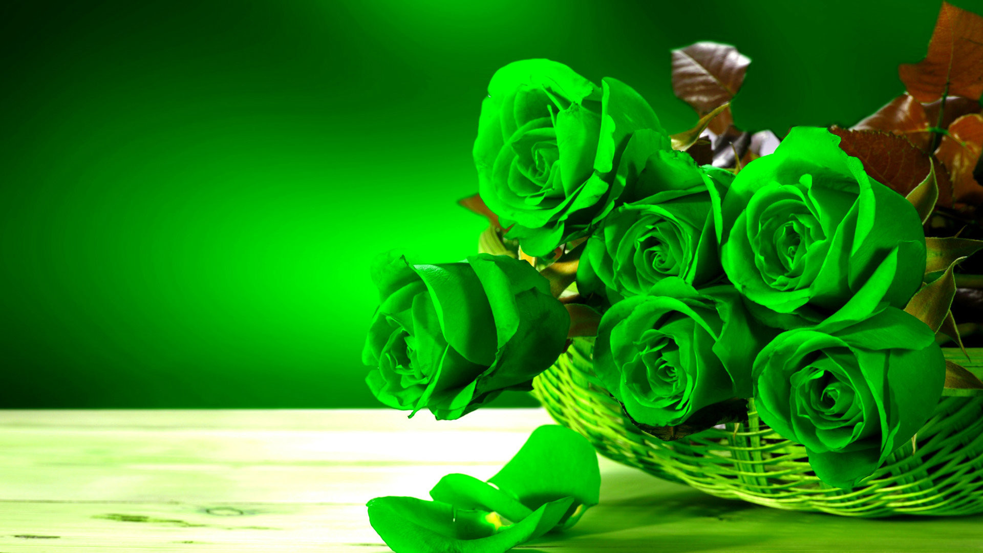 1920x1080 Green Roses HD Wallpapers Pictures