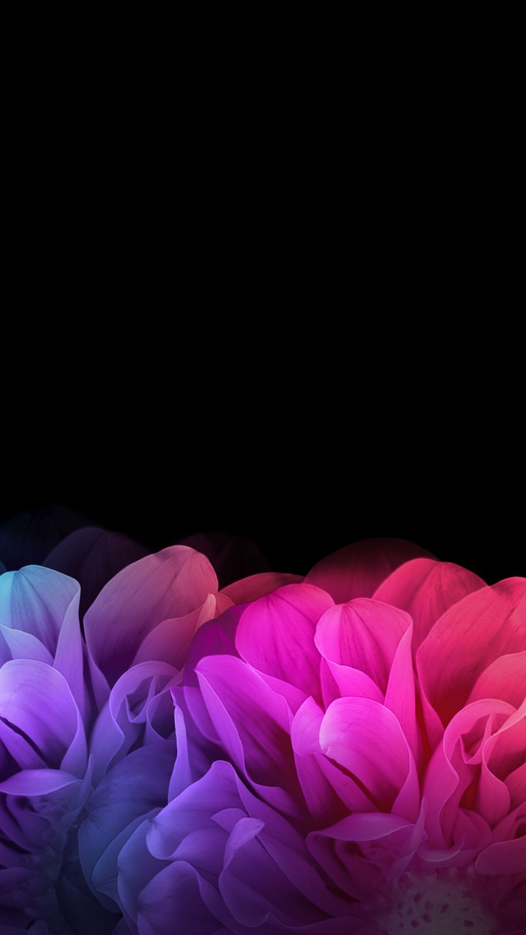 1080x1920 Black Floral iPhone Wallpaper