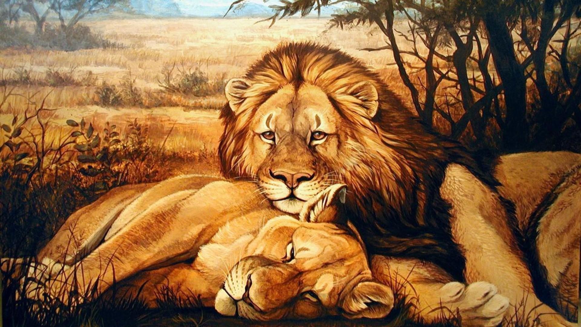 1920x1080 Lion Cheetah And Tiger Animals Big Cat Wallpaper - WallpaperLepi