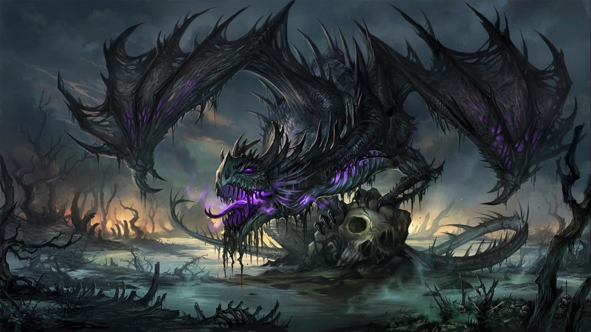 dragon wallpaper widescreen hd