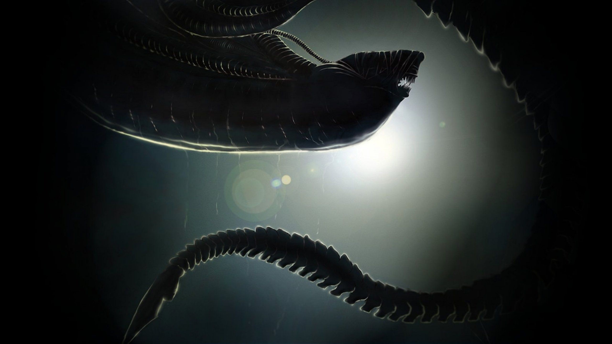 2560x1440 Aliens Wallpaper High Resolution For Desktop Wallpaper 2560 x 1440 px 1.08  MB queen tumblr colonial marines xenomorph artwork isolation 1986 iphone  real