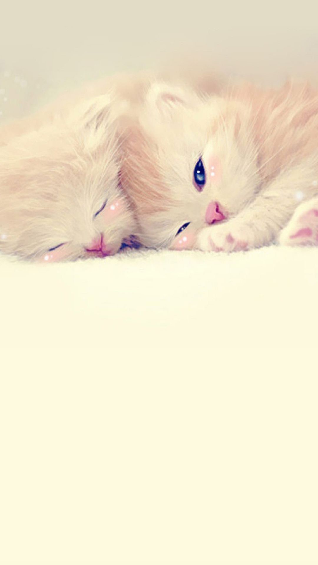 1080x1920 Two kittens sleeping and snuggled - iPhone Wallpaper