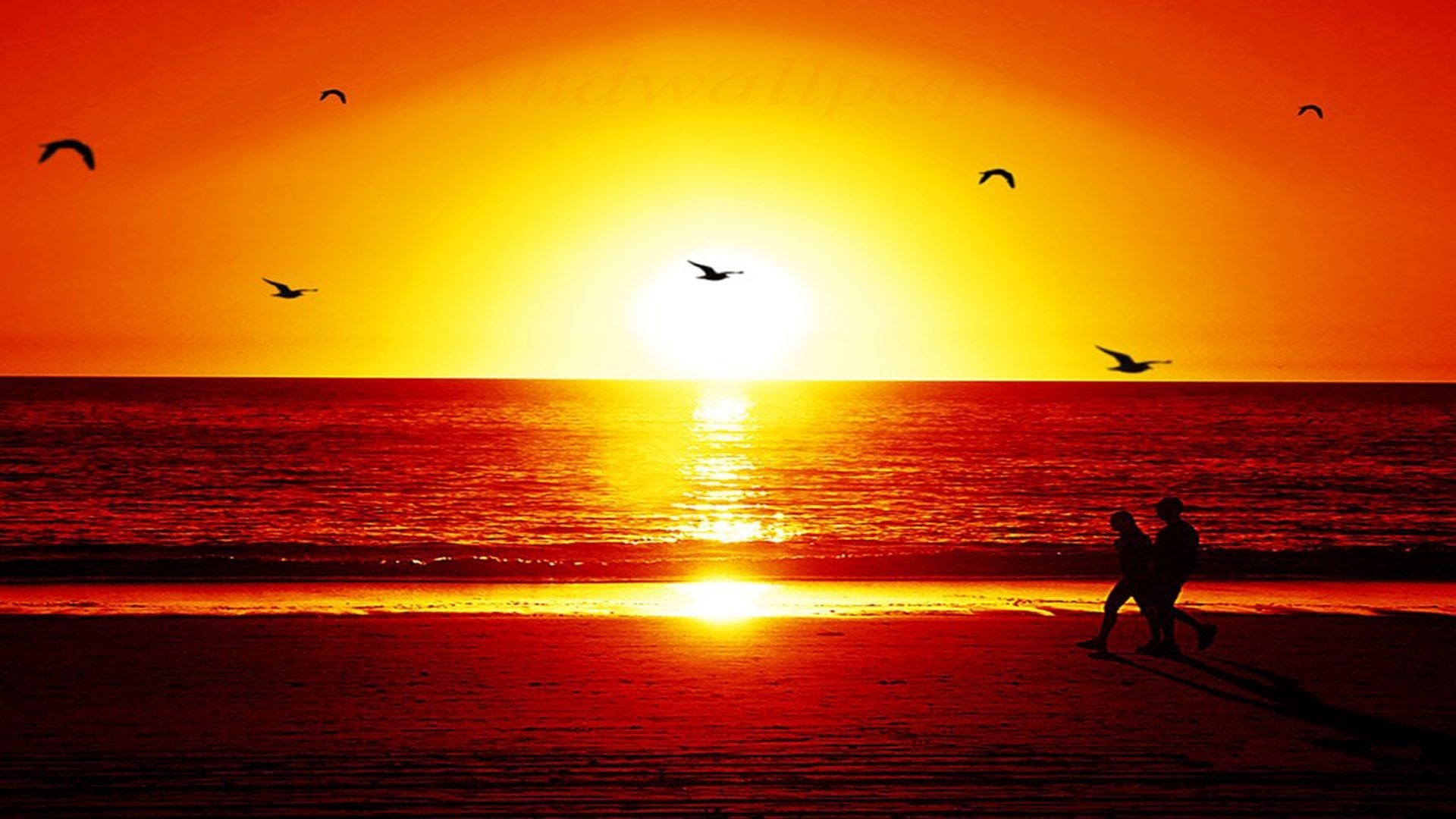 1920x1080 romantic sunset wallpapers couples