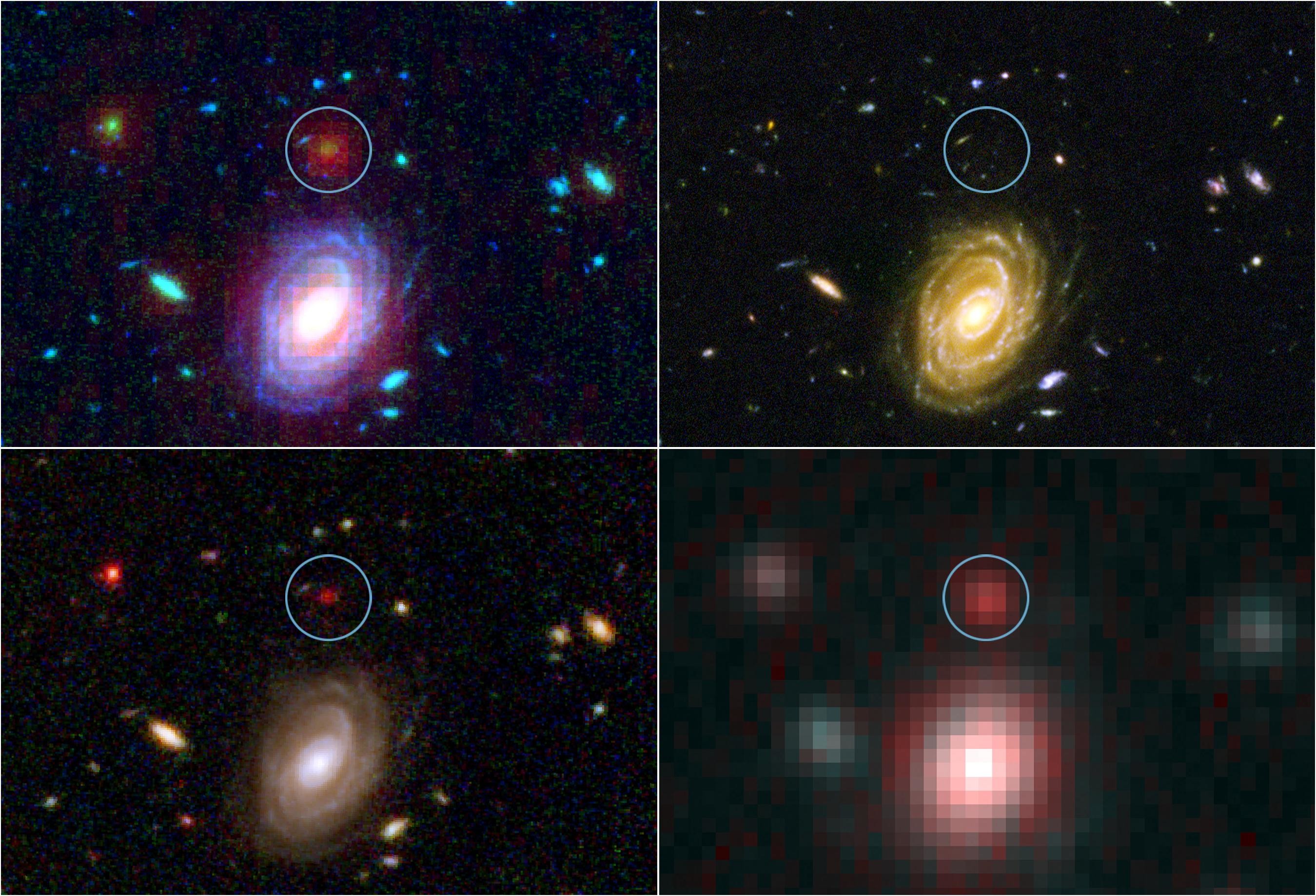 2699x1838 This image demonstrates how data from two of NASA's Great Observatories,  the Spitzer and Hubble