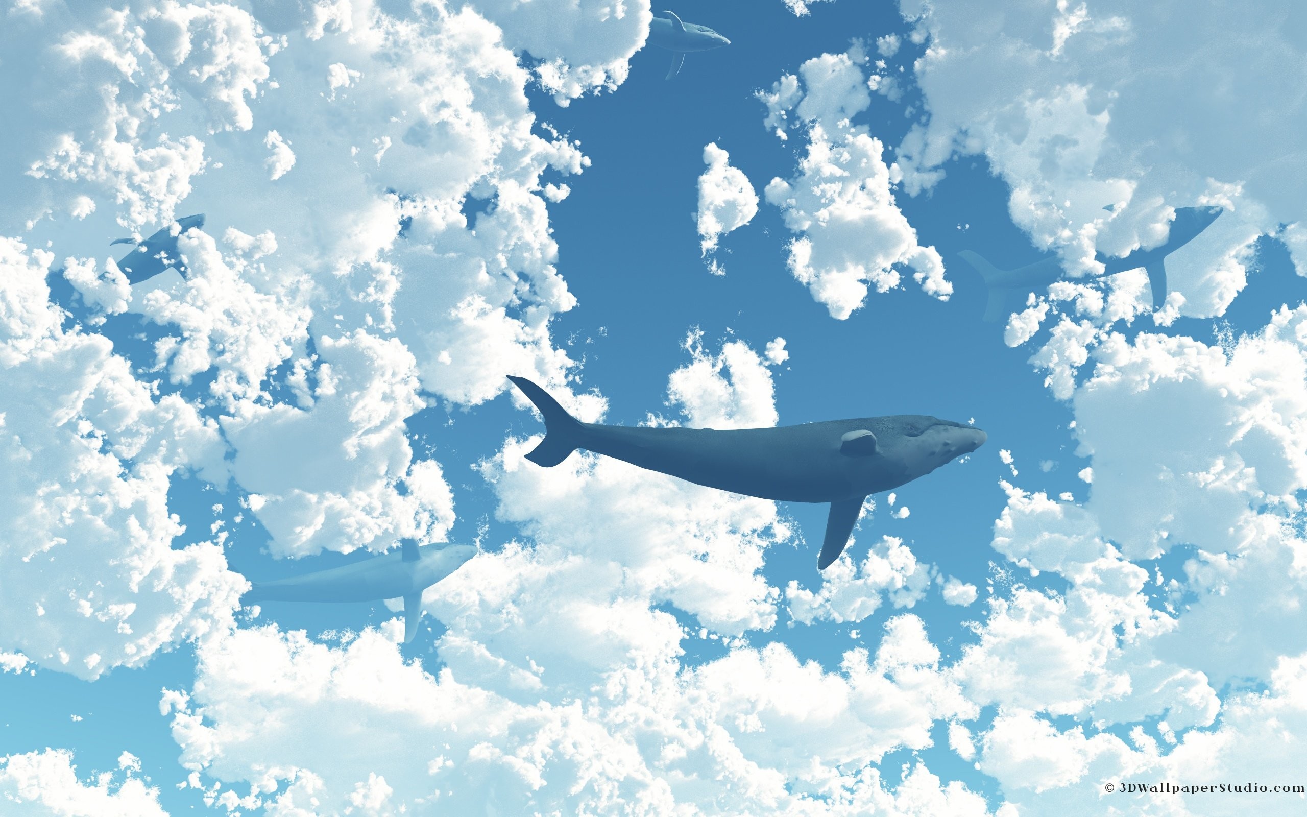 2560x1600 Sky Whales