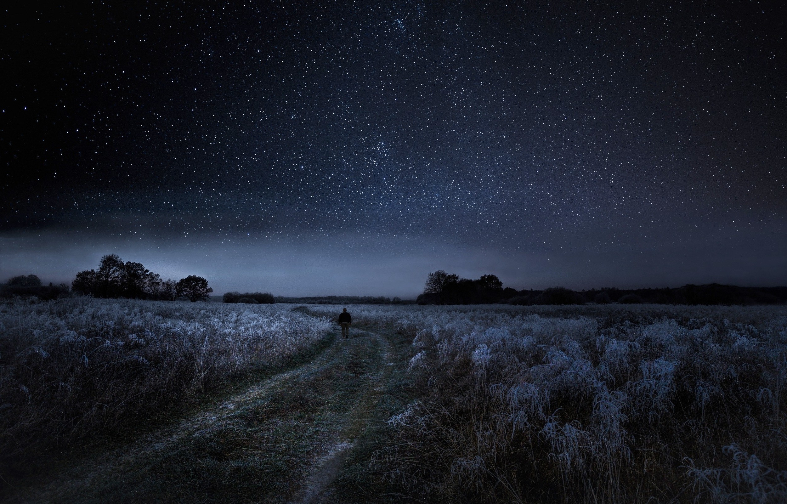 2500x1601 walking, Nature, Landscape, Starry Night, Dirt Road, Frost, Shrubs, Field,  Trees, Moonlight Wallpapers HD / Desktop and Mobile Backgrounds
