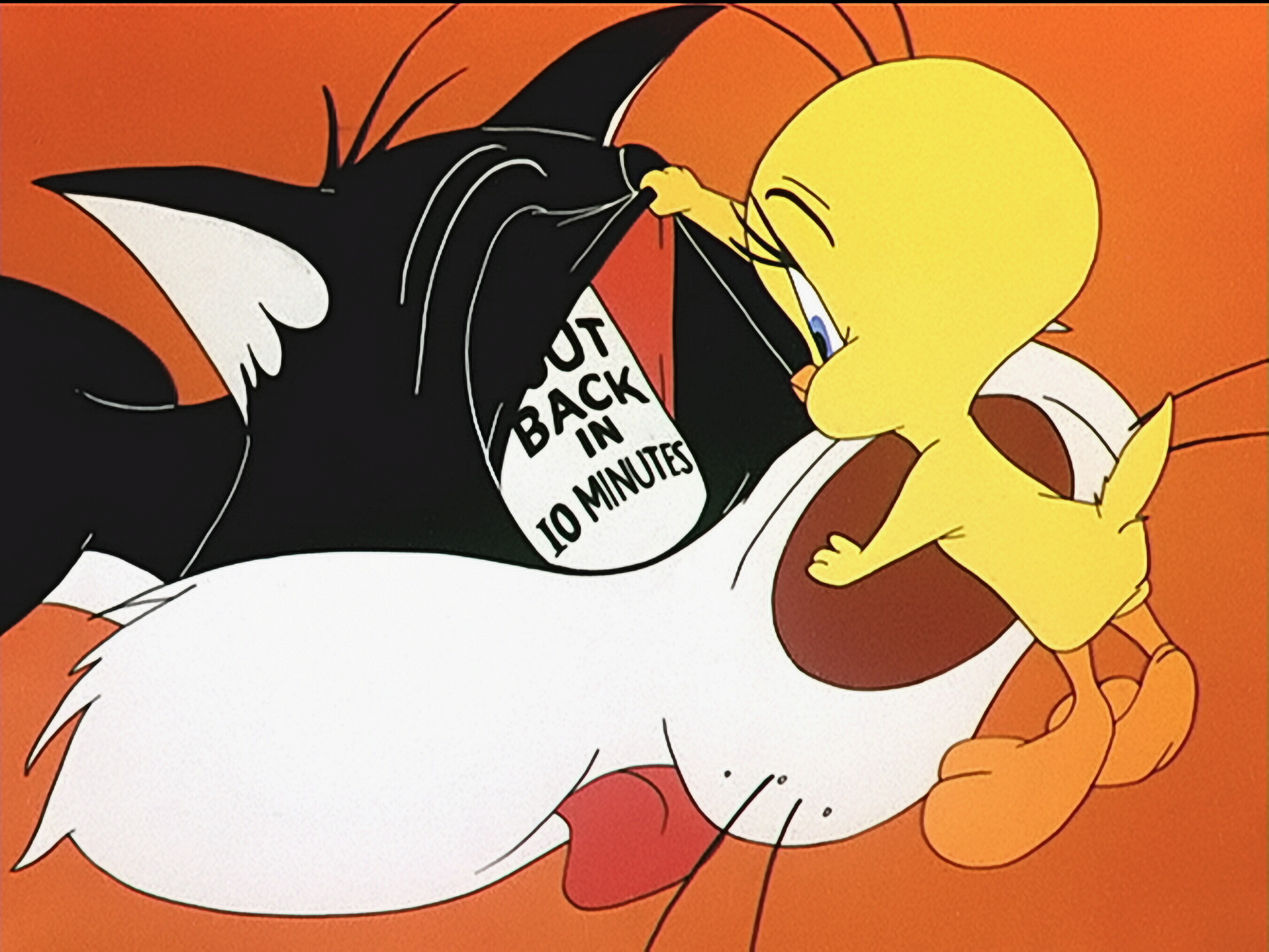 2700x2025 Sylvester and Tweety Pie wallpaper - ForWallpaper.com