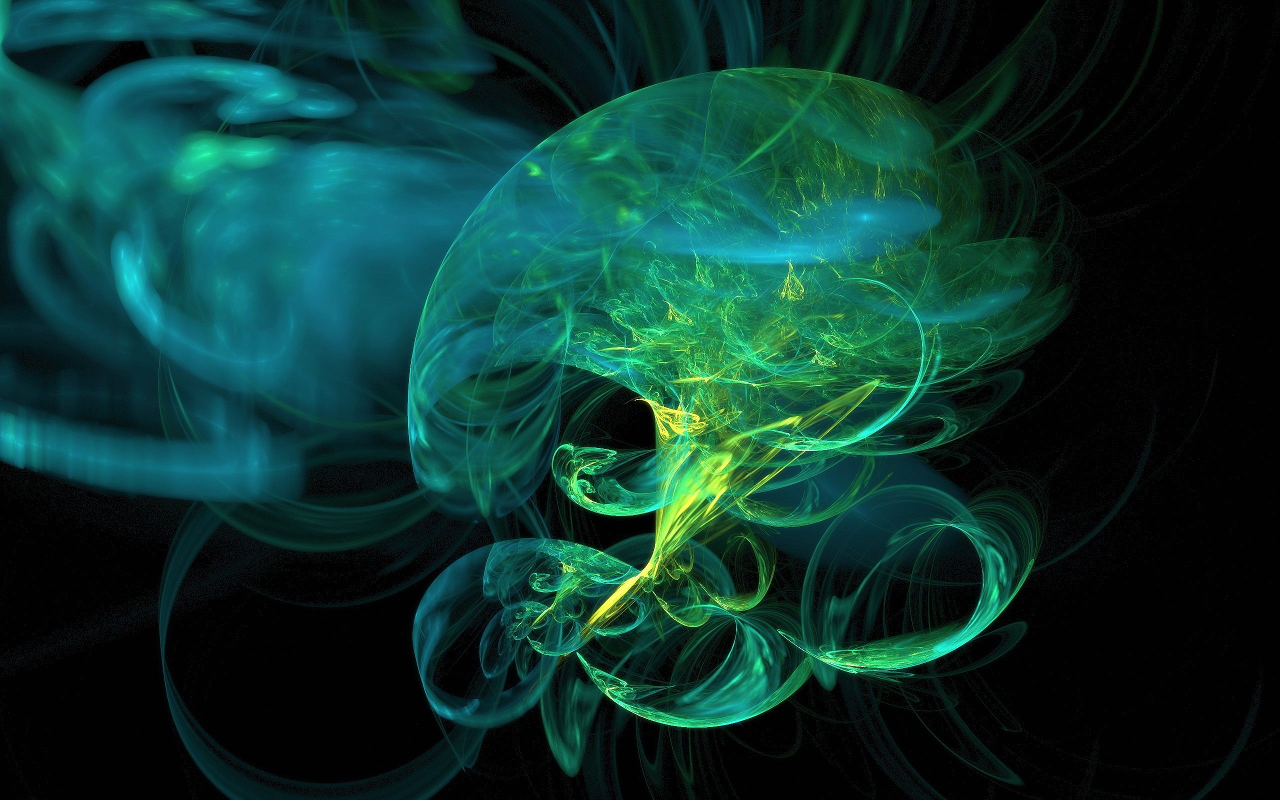2560x1600 cool jellyfish pictures. Â«Â«