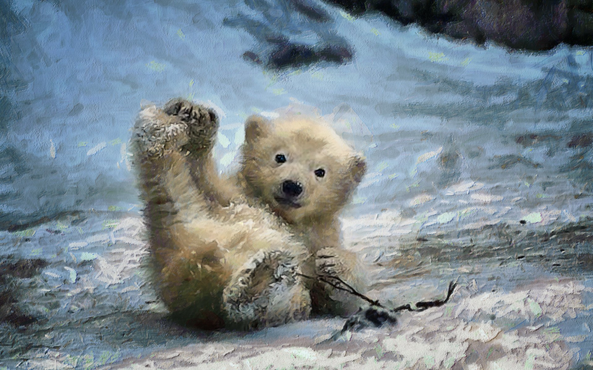 1920x1200 Baby Polar Bear HD Wallpaper | Hintergrund |  | ID:728517 -  Wallpaper Abyss