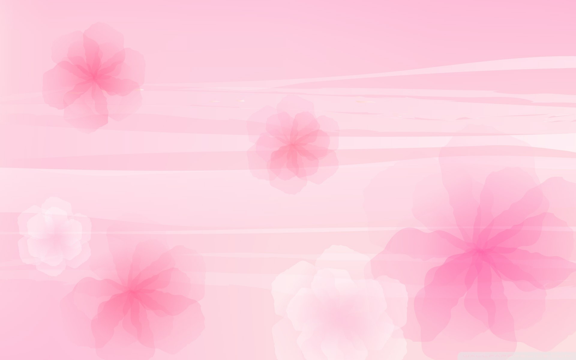1920x1200 Cool Pink Wallpapers for Your Desktop