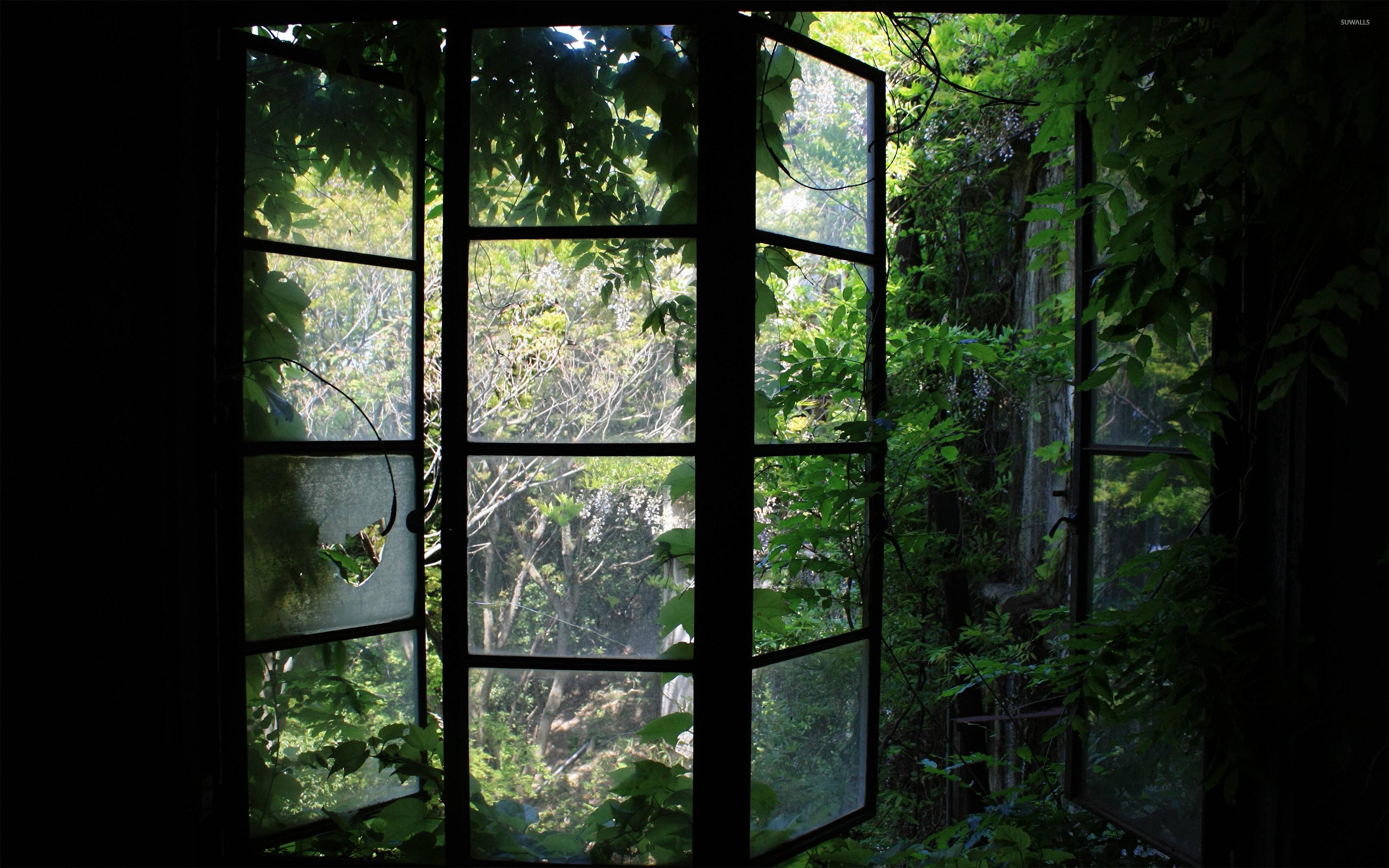 2880x1800 Greenhouse window wallpaper