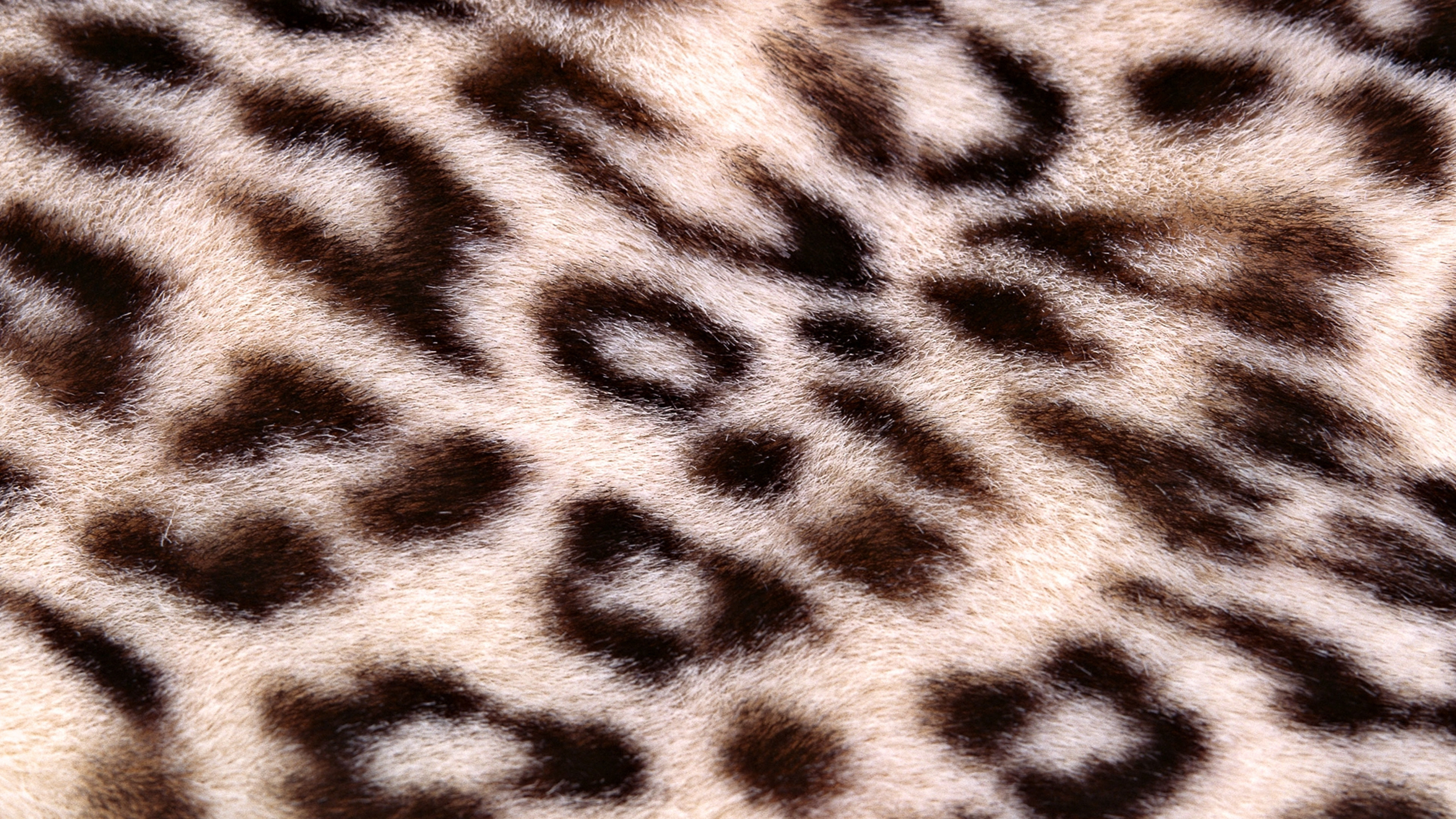3840x2160  Wallpaper leopard, background, texture, spotted