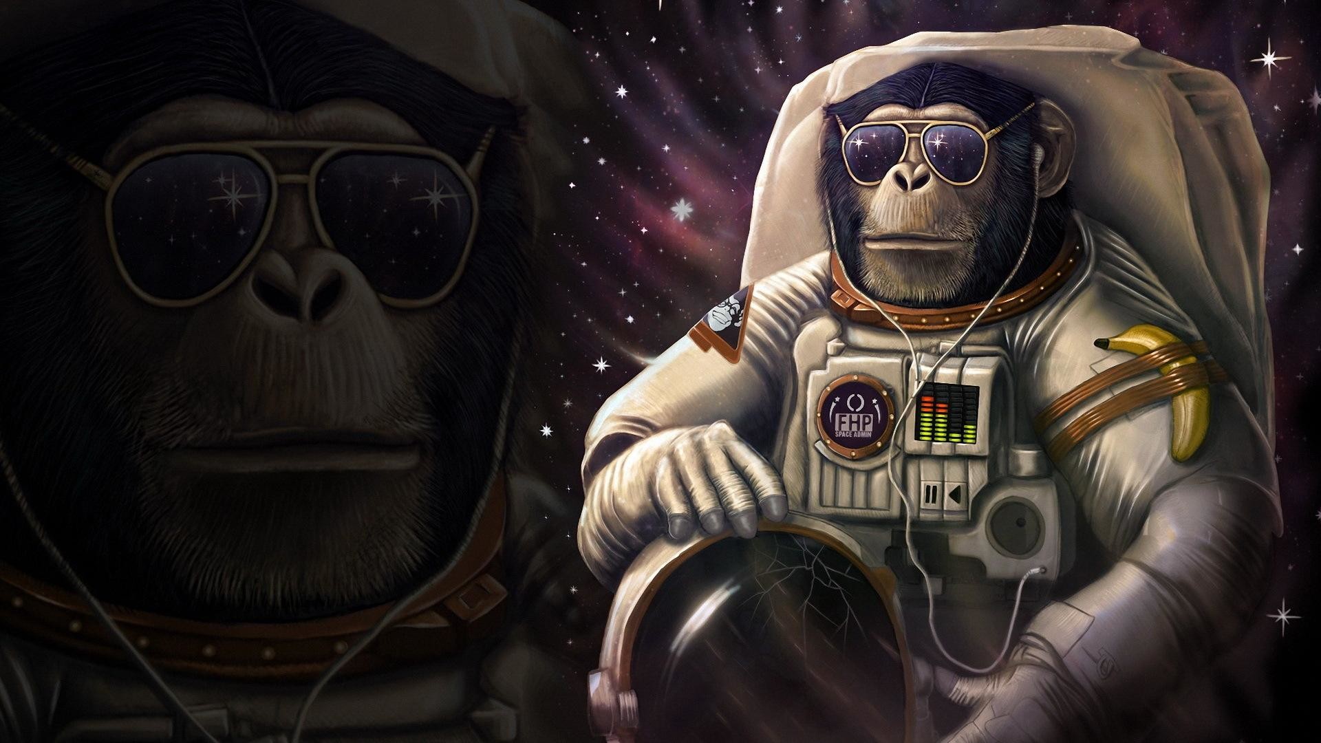 1920x1080 HD Monkey astronaut Wallpaper