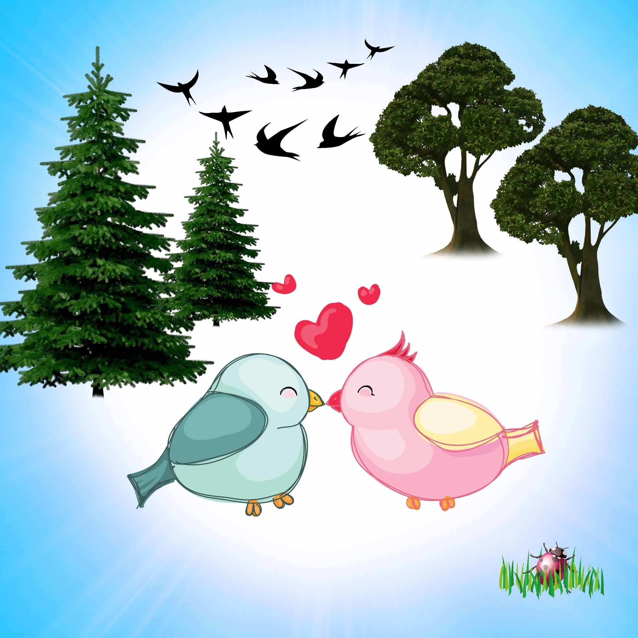 2048x2048 Love birds with trees love wallpaper