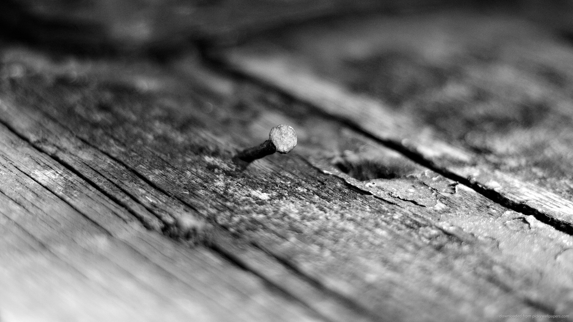 1920x1080 Old nail in wood picture