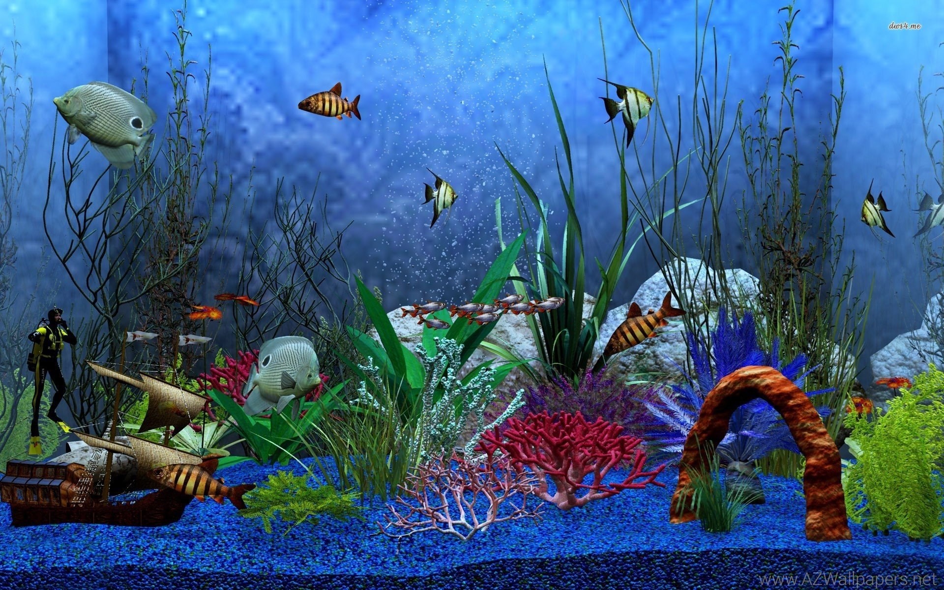 48 Animated Fish Aquarium Desktop Wallpapers Wallpape - vrogue.co