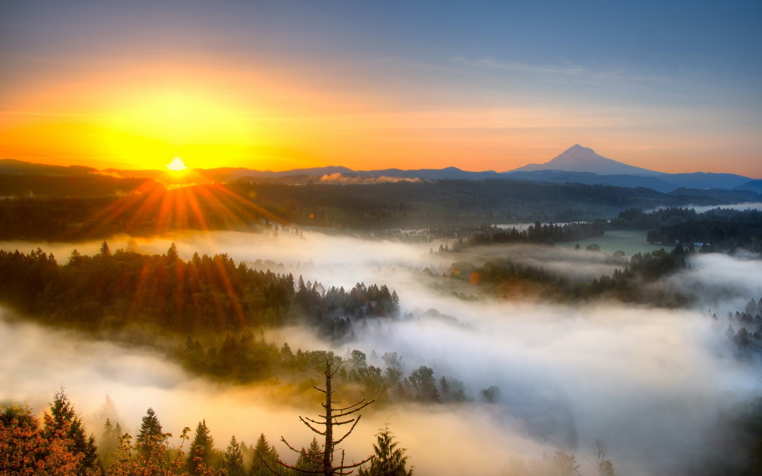 2560x1600 Morning Sunrise | Morning mist mountain sunrise Wallpaper |   wallpaper download