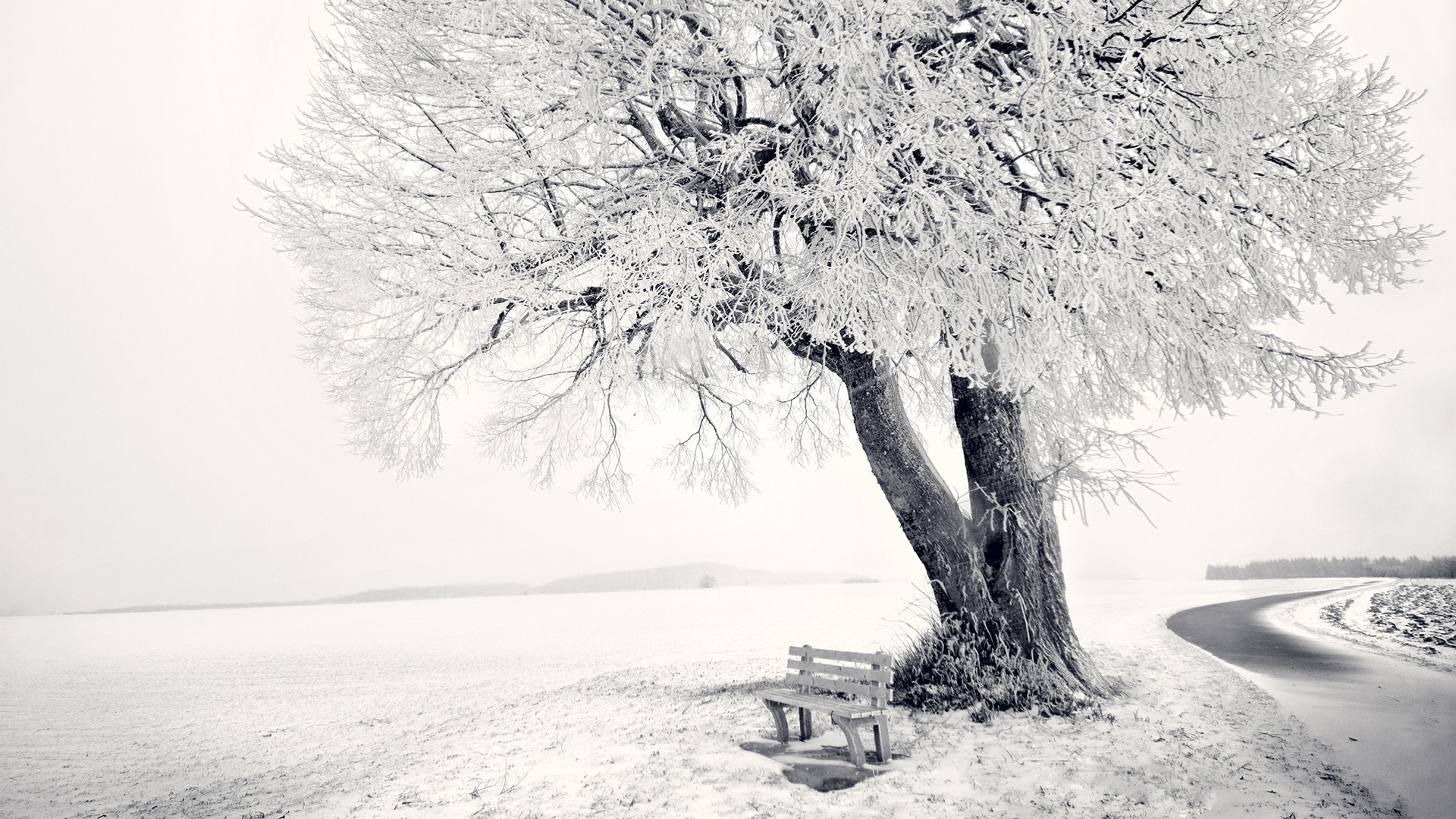 1920x1080 Preview wallpaper winter, snow, bench, tree, frost, track, cover 