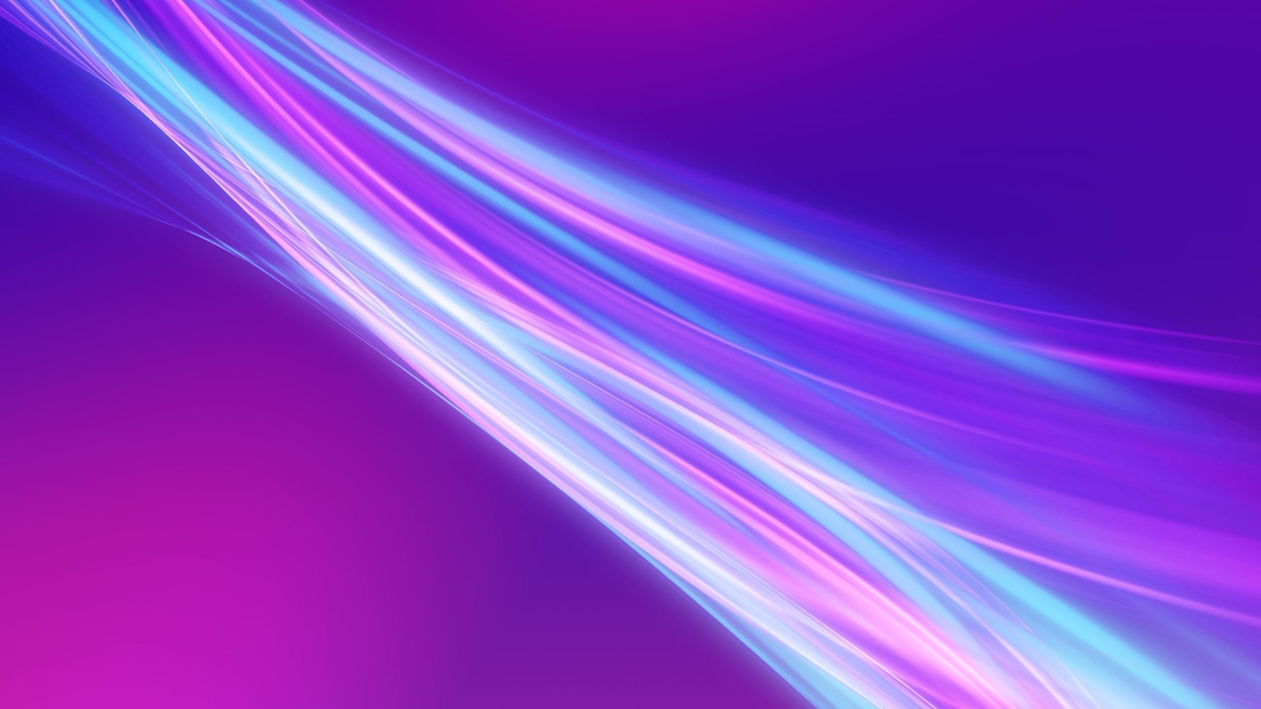 2560x1440 Purple Pink Light Rays Wallpaper