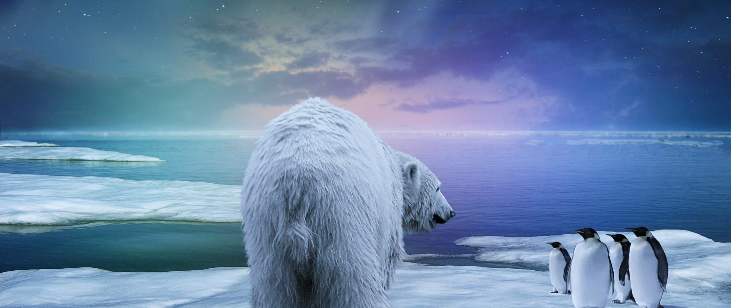 2560x1080 Preview wallpaper polar bear, penguin, northern lights 
