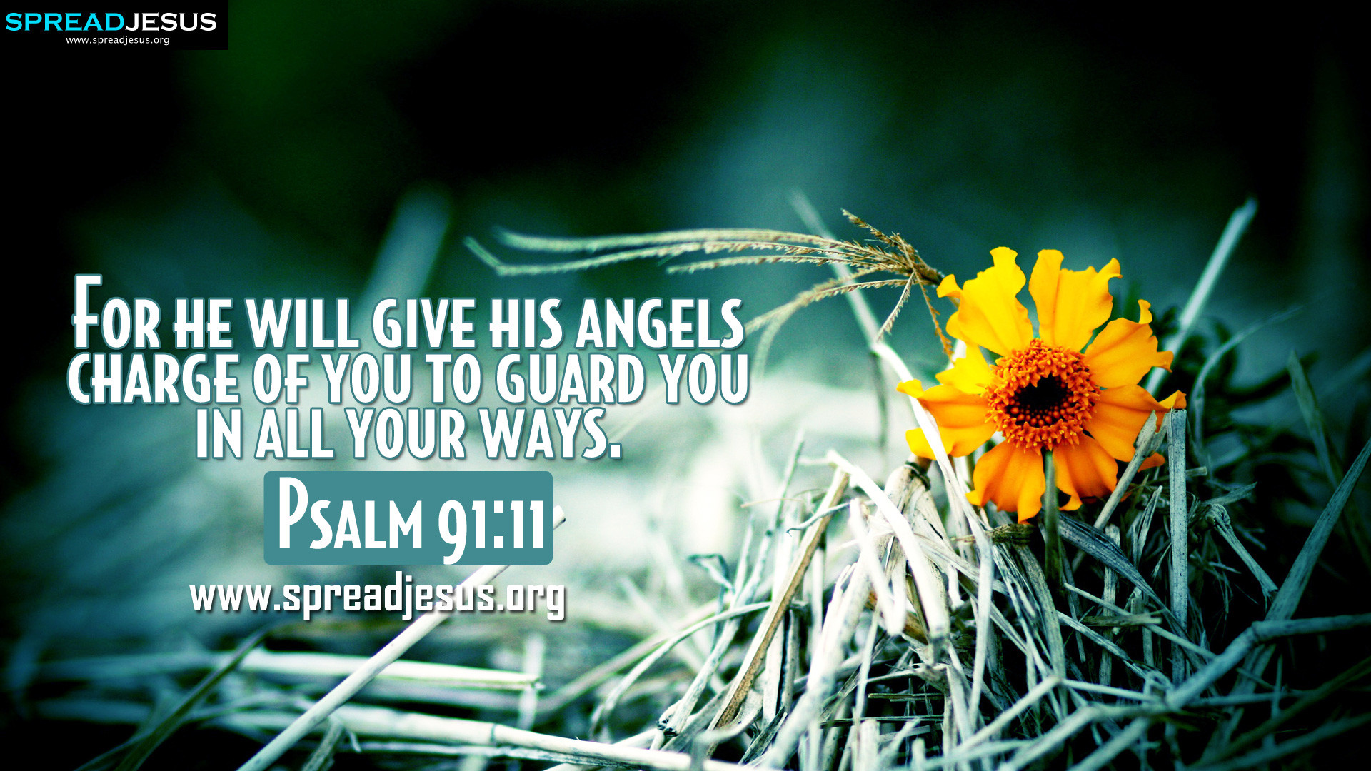 1920x1080 Psalm 91:11 BIBLE QUOTES HD-WALLPAPERS FREE DOWNLOAD For he will give his