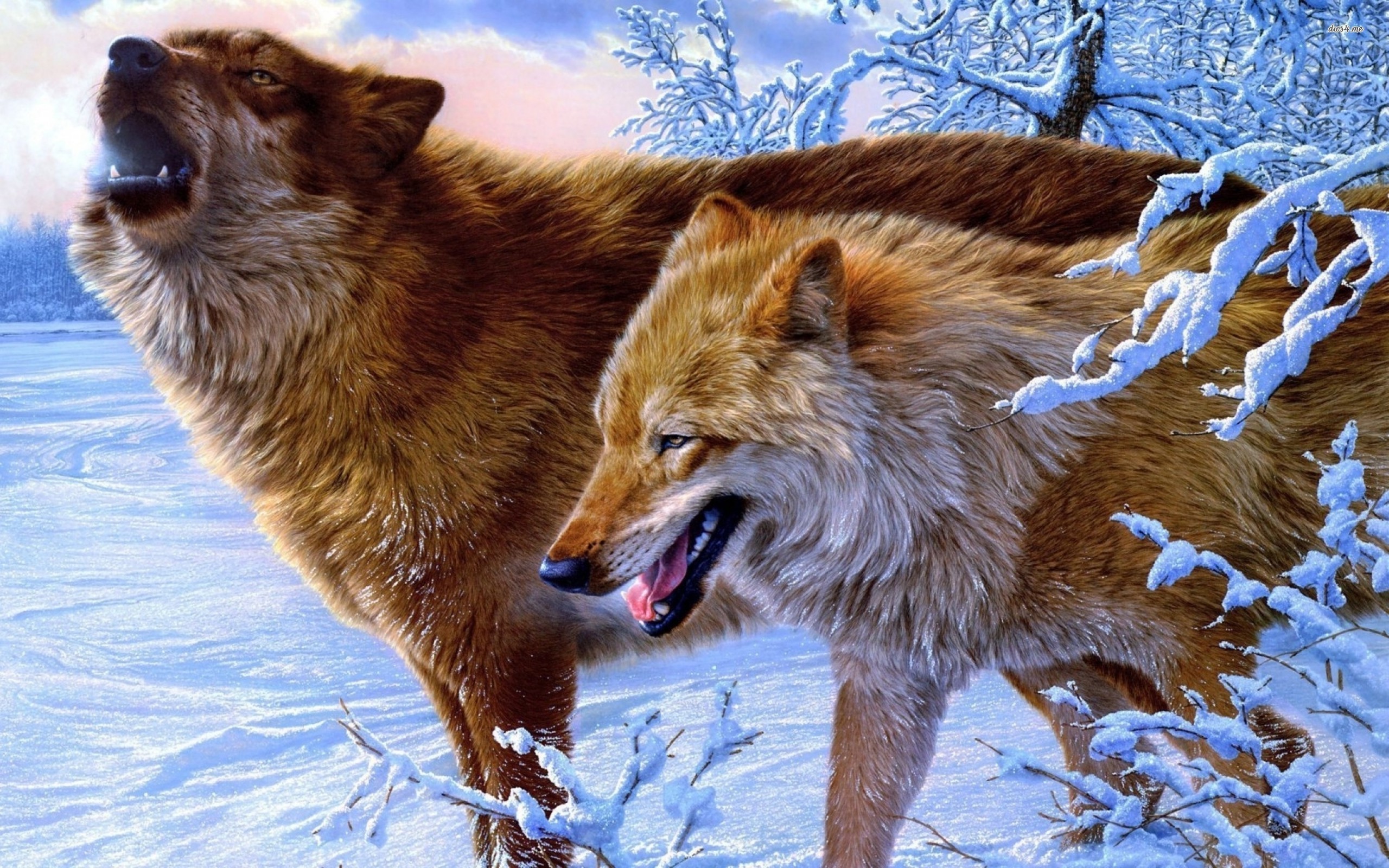 2560x1600 Howling Wolves wallpap... via image