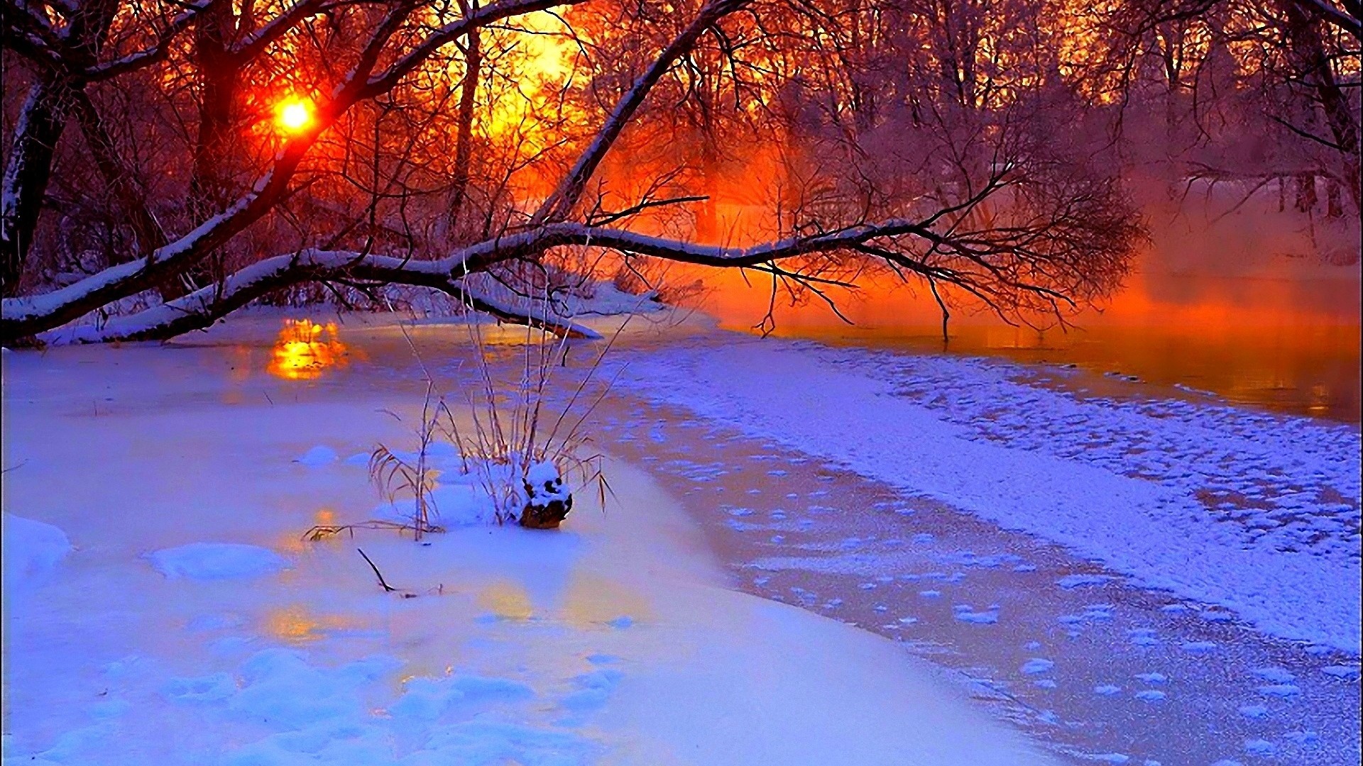 1920x1080 Preview wallpaper winter, sunset, evening, branches, tree, pond, cold,