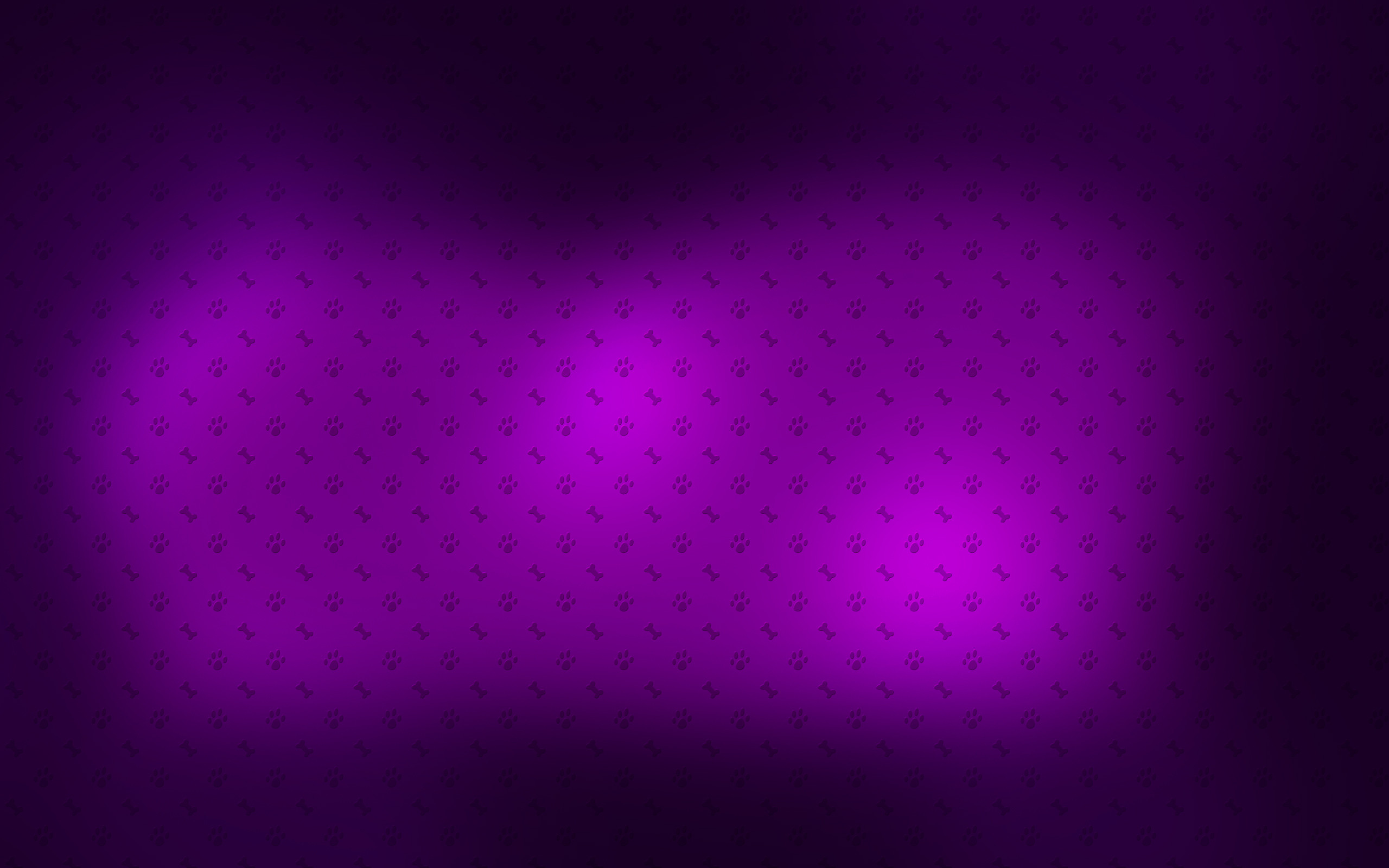 2560x1600 Purple background wallpapers and images - wallpapers, pictures, photos