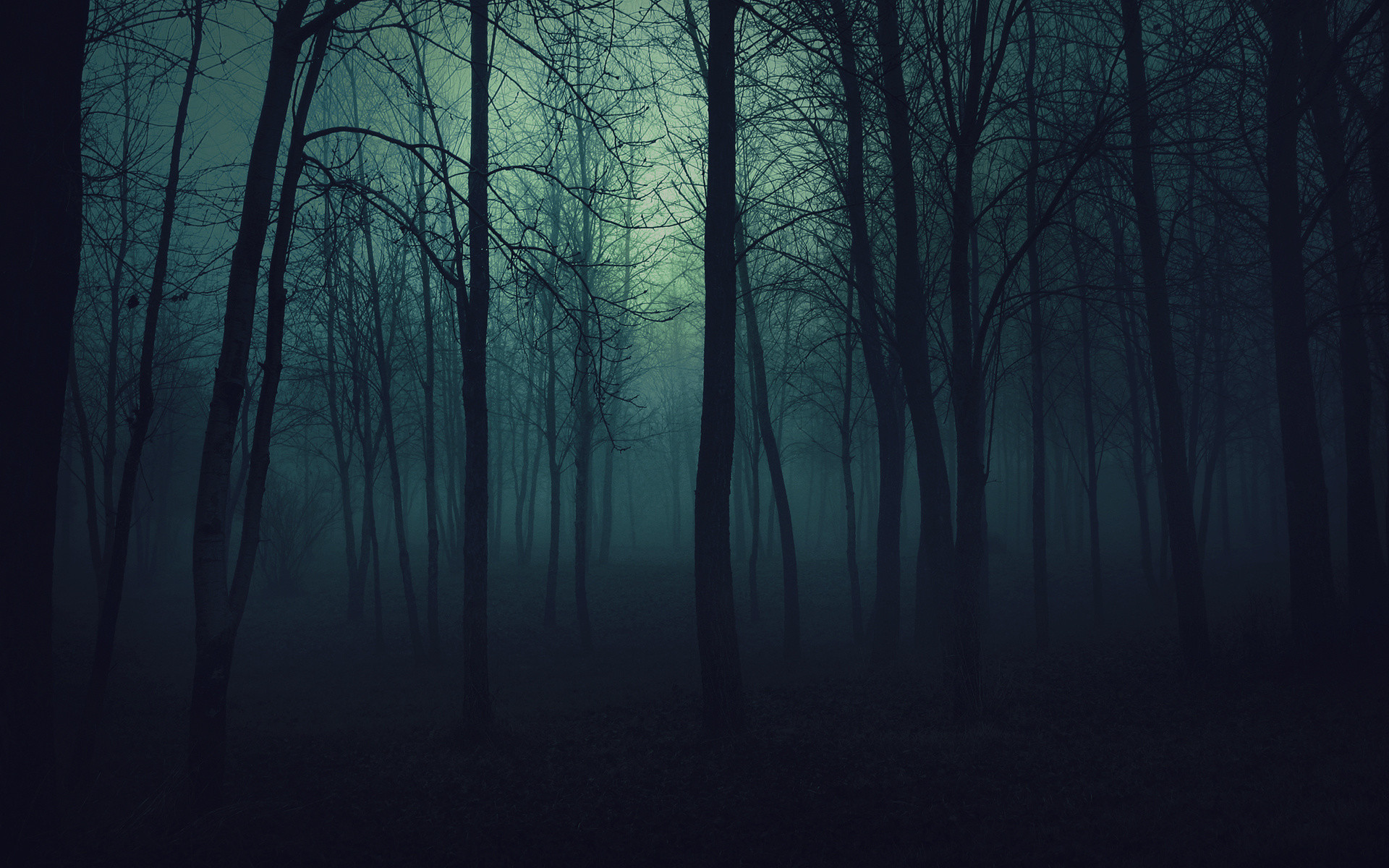1920x1200 100% Quality HD Top Spooky Forest Wallpapers HD Wallpapers