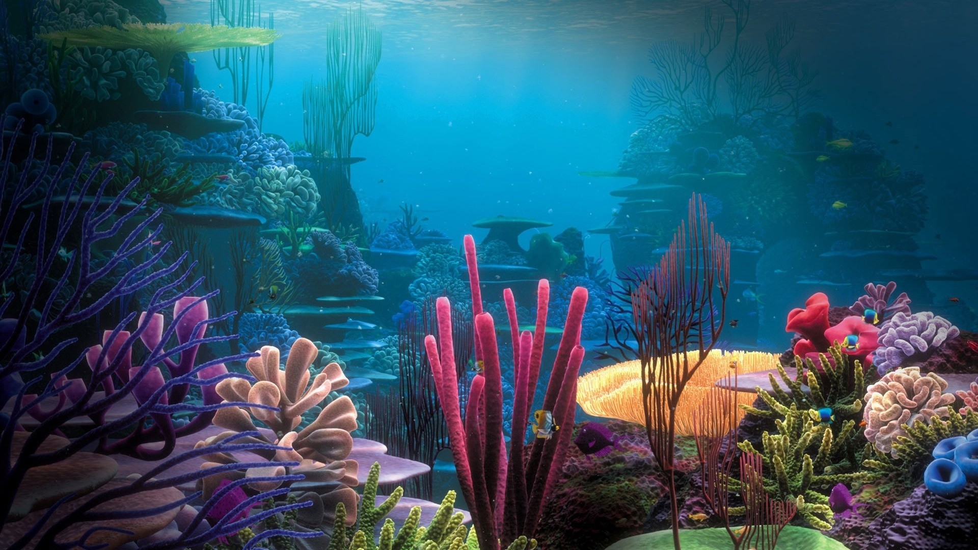 1920x1080 Underwater World Desktop Backgrounds