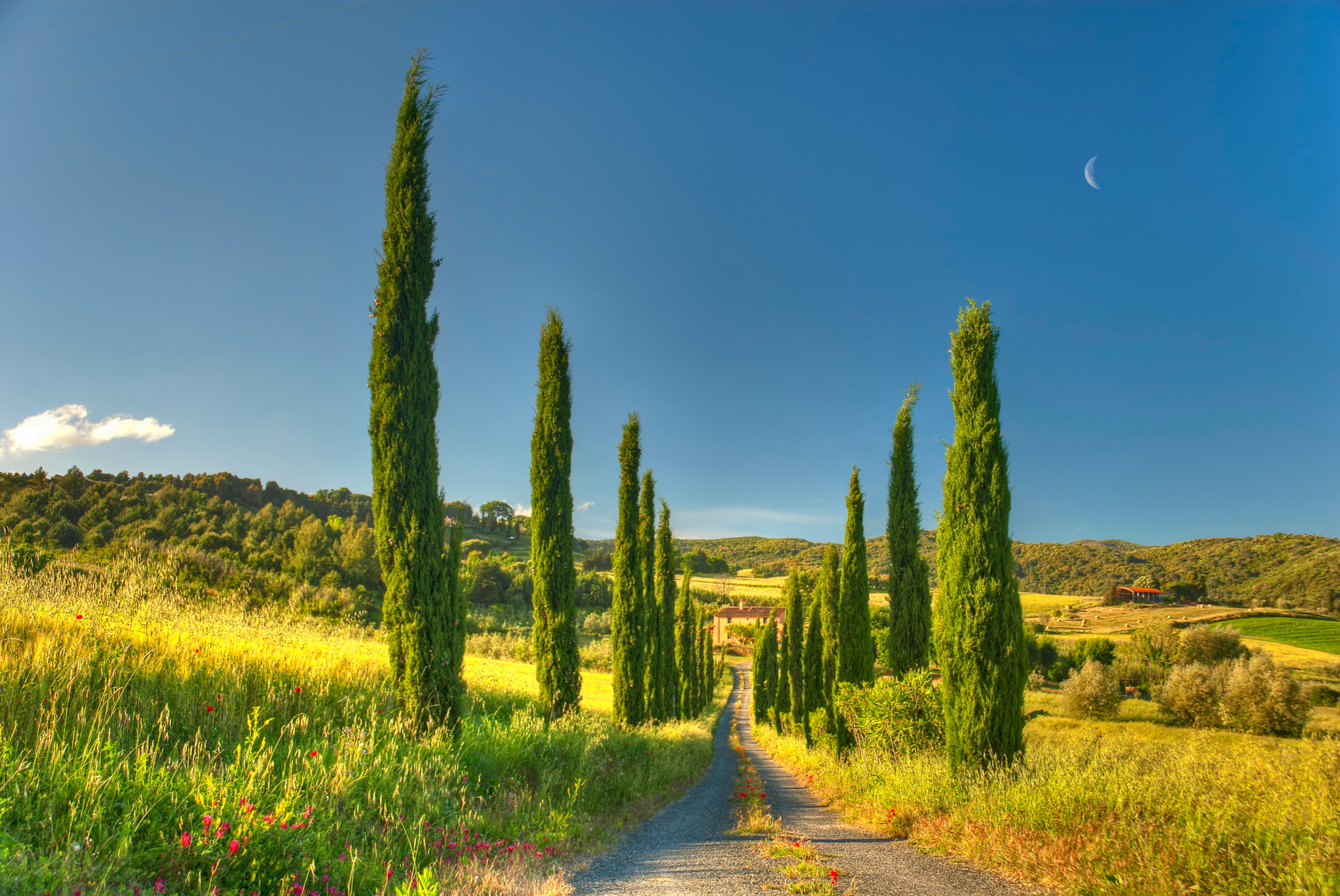 3130x2094 Landscapes - House Tuscany Cottage Country Villa Road Nature Wallpapers  Photos for HD 16:9