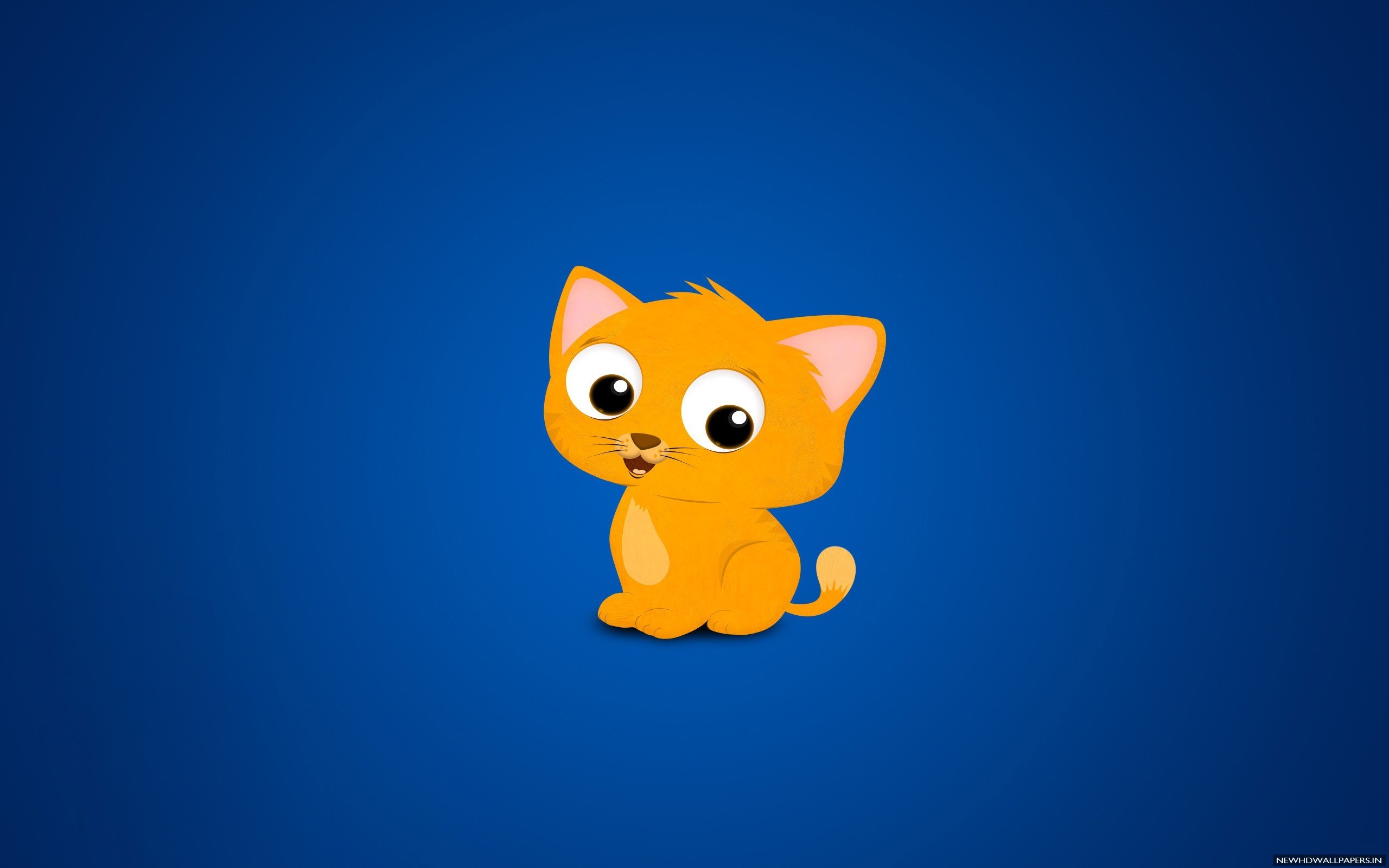 2560x1600 Funny & Cute Cat Cartoon Wallpaper