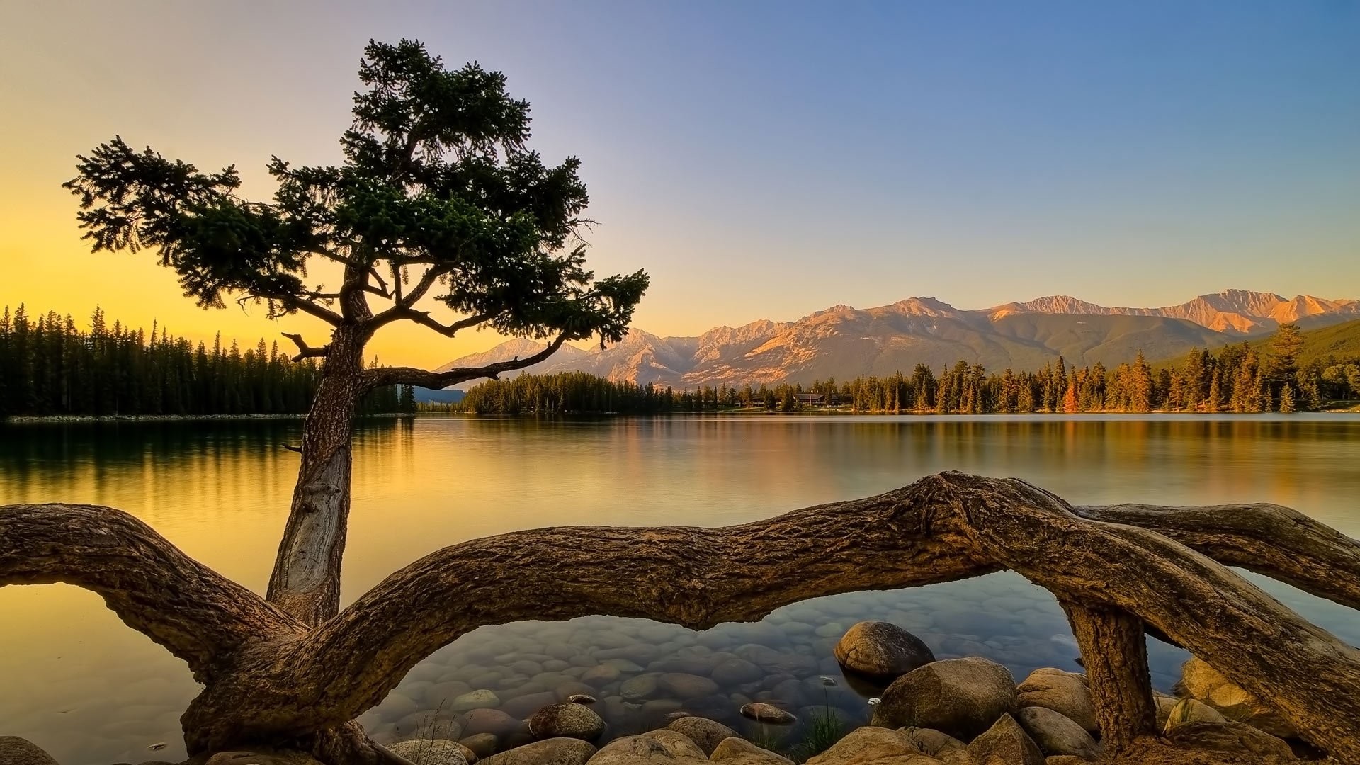 Worlds Best Wallpaper Ever 73 Images 