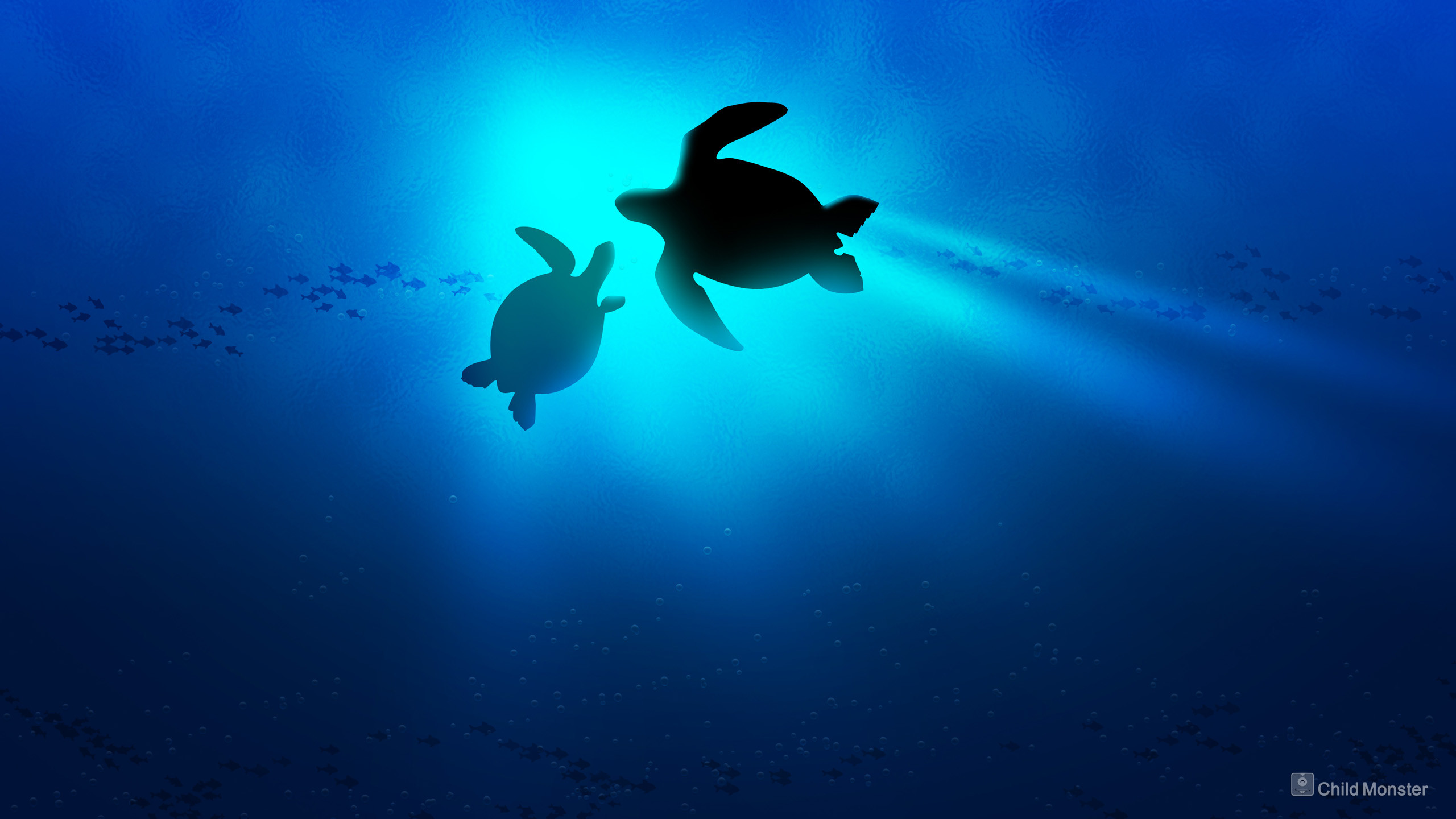 2560x1440 Baby Sea Turtle Wallpaper Desktop Background - Mekamak