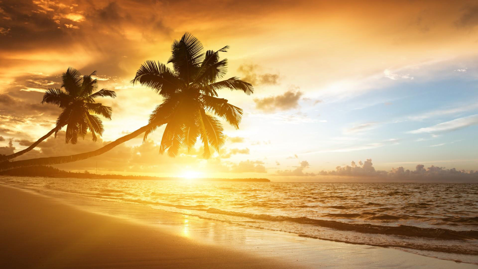 1920x1080 hd pics photos attractive beach sun set sky coconut tree hd quality desktop  background wallpaper