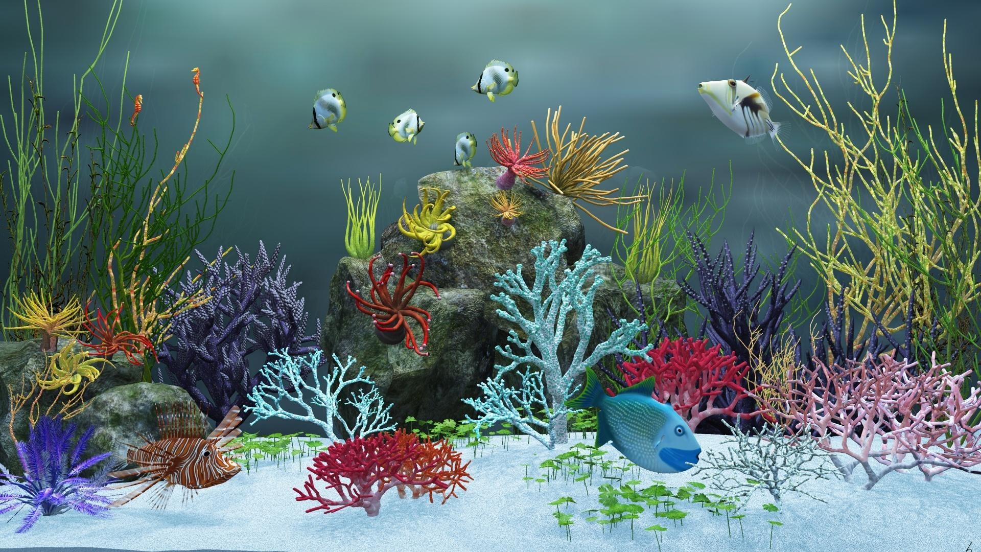 1920x1080 Animated Aquarium Desktop Wallpaper Windows : Aquarium desktop background