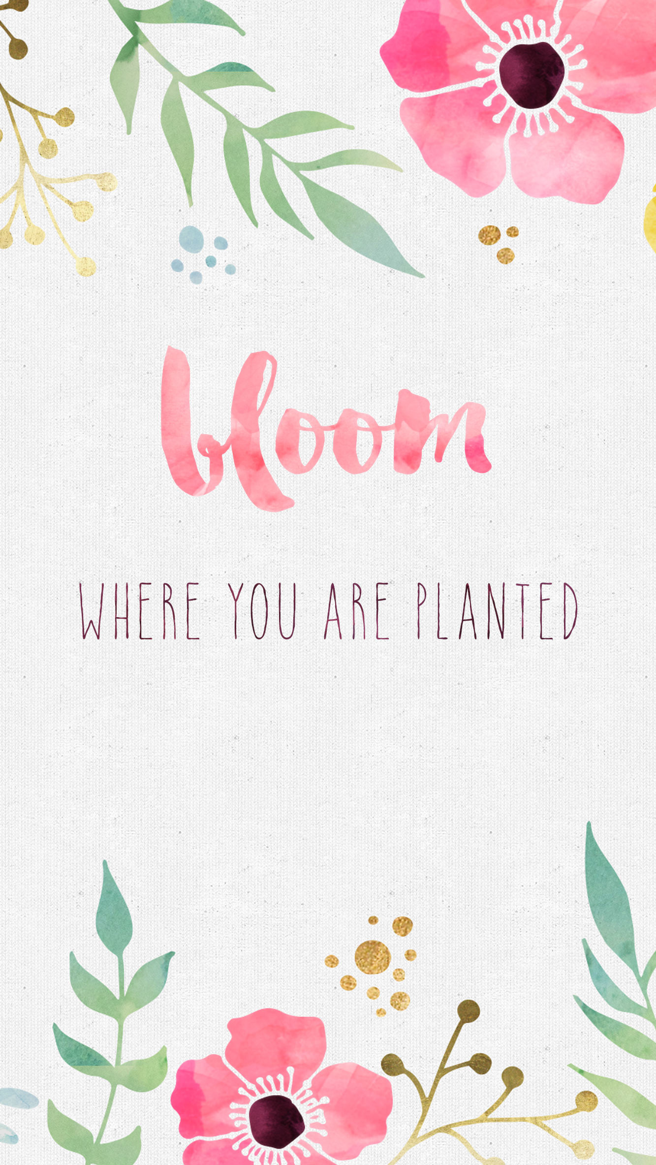 1333x2367 Free Desktop Wallpaper – Bloom Where you are Planted