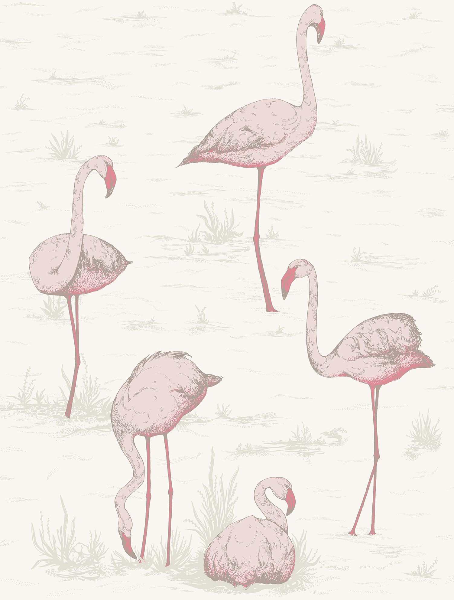 1502x1984 ... Cole & Son Flamingo Wallpaper 95/8045 ...
