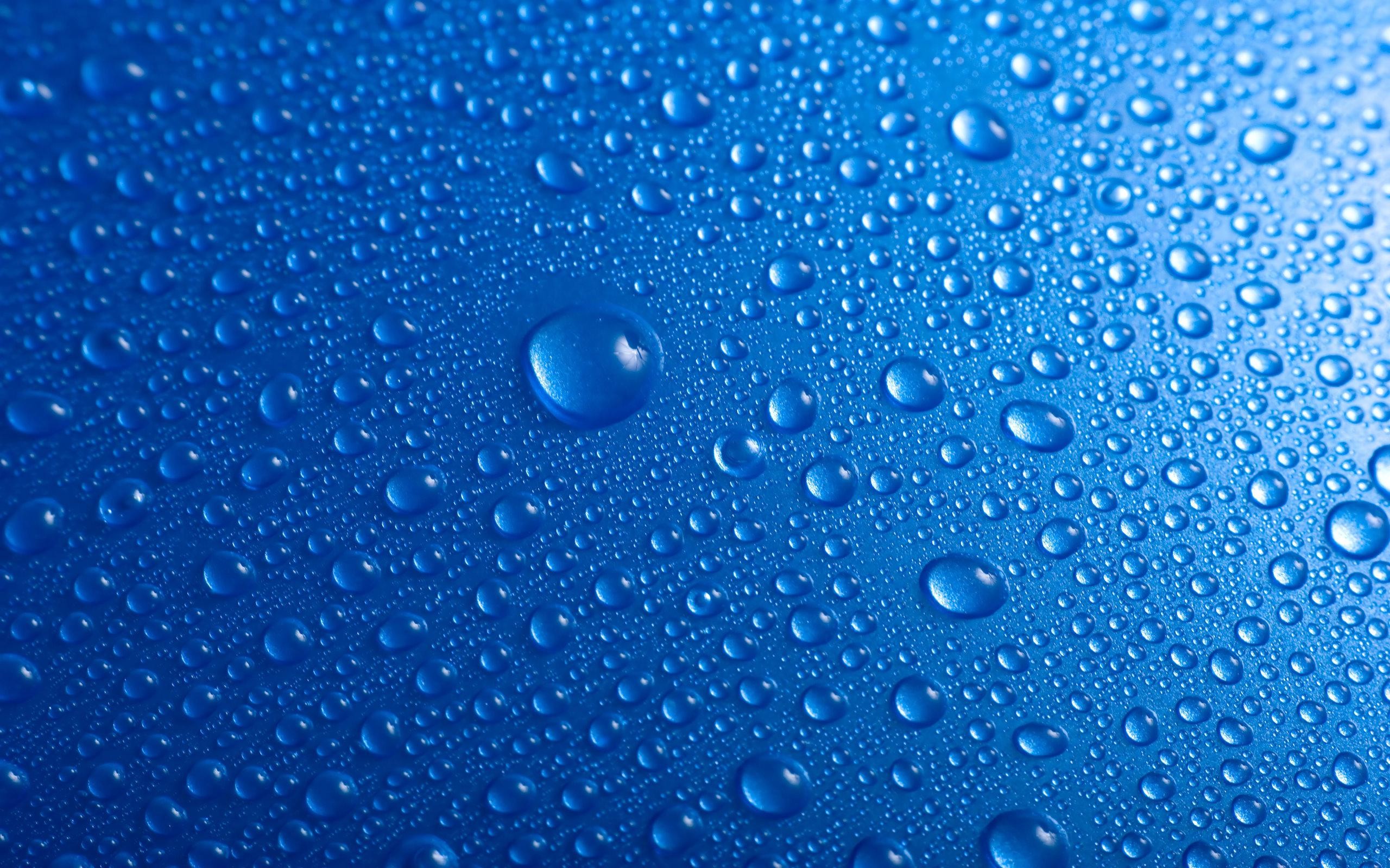 2560x1600 Water Blue Wet Drops Macro Condensation 1080p