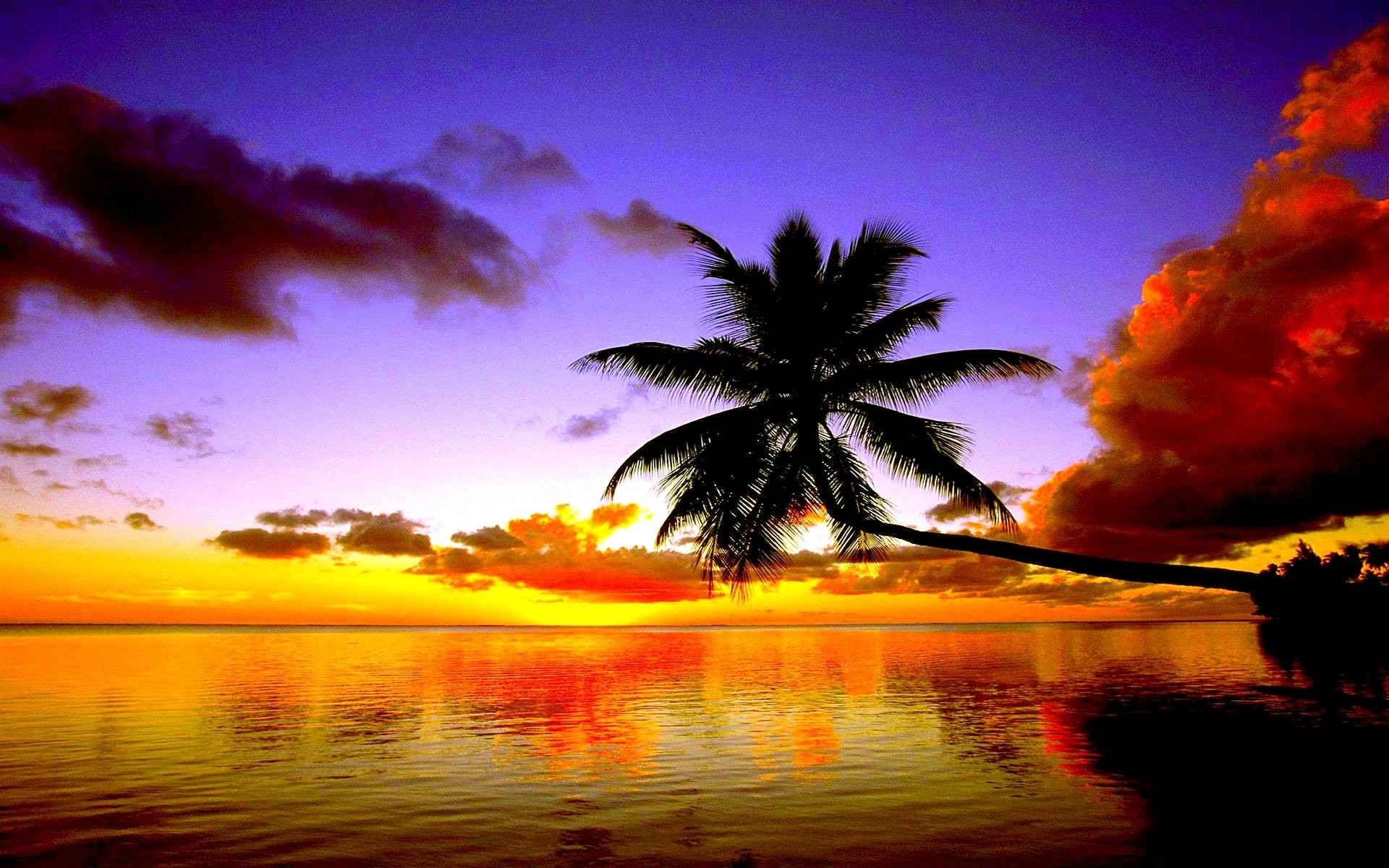 1920x1200 Tropical Beach Sunset - Wallpaper HD