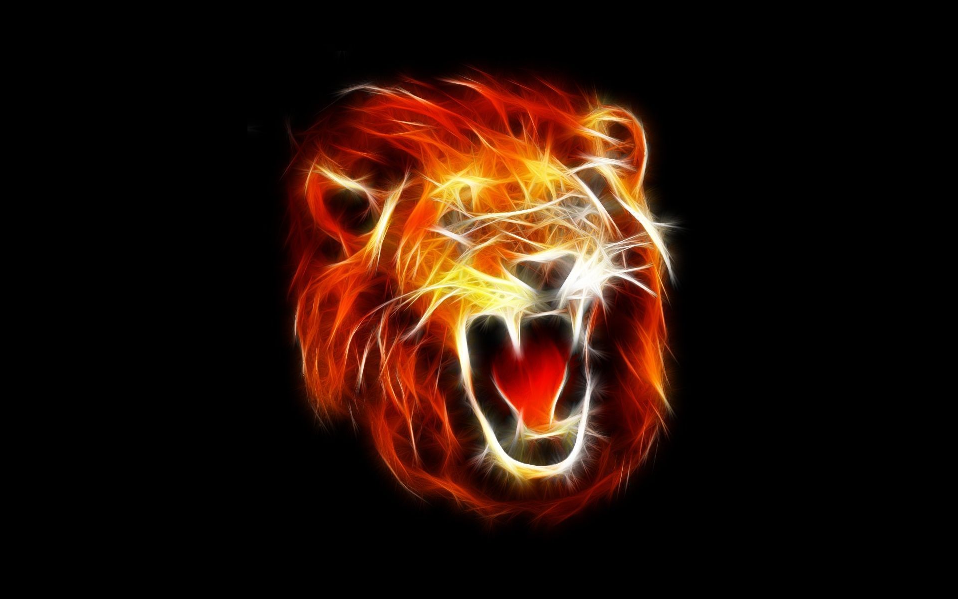 1920x1200 1600x900px Imagem Hd Fire Lion