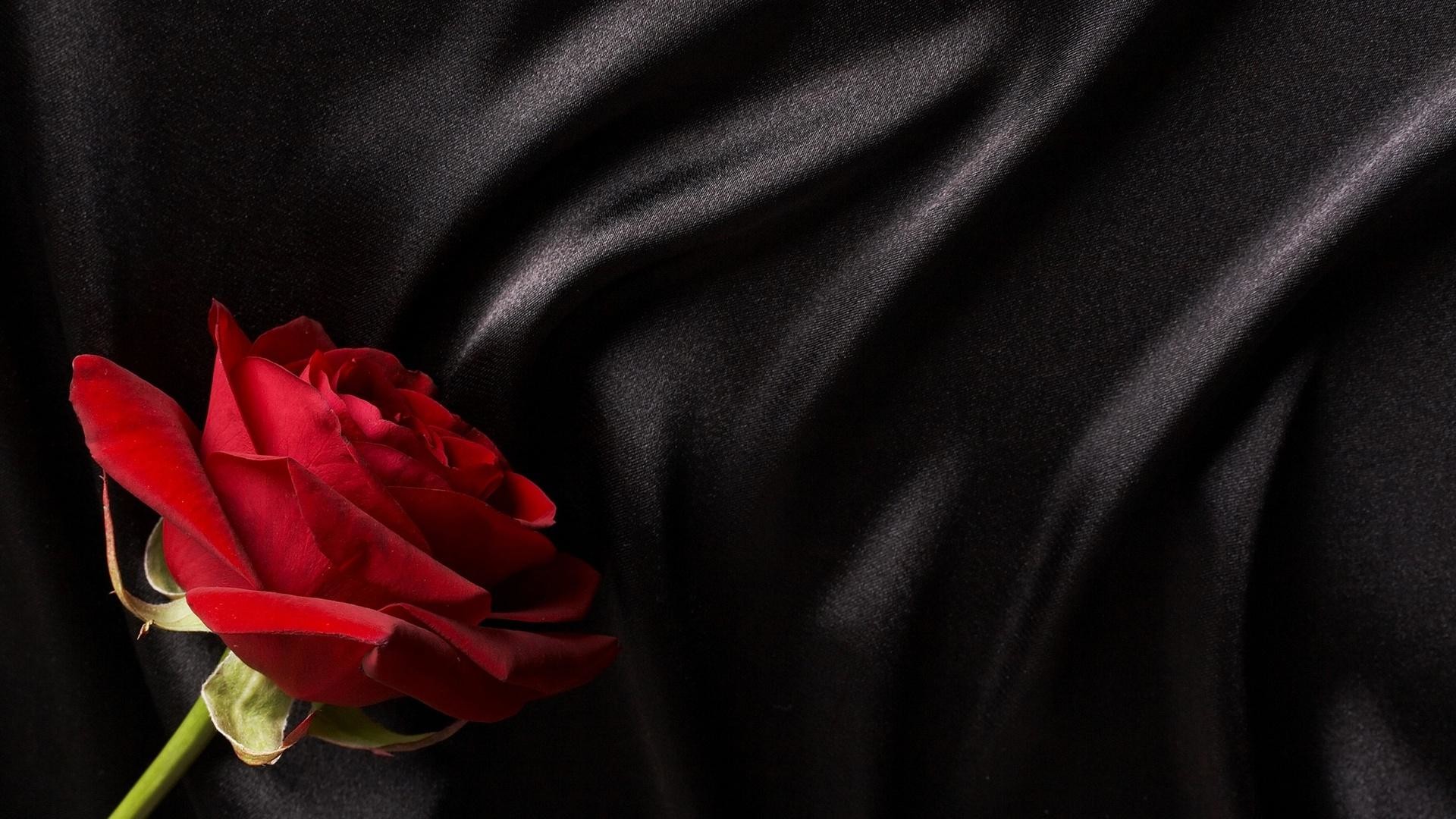 1920x1080 Red rose on black silk wallpaper thumb